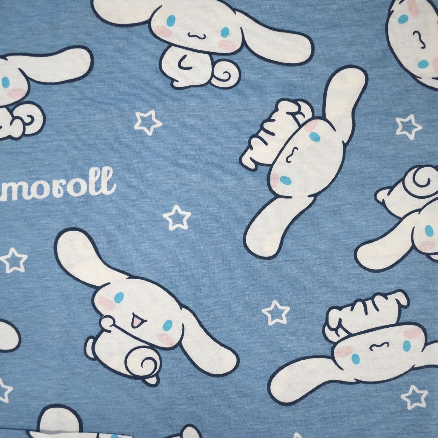 シナモロール Tシャツ 半袖 プリント トップス サンリオ キャラクターズ メンズ レディース cr1152-242