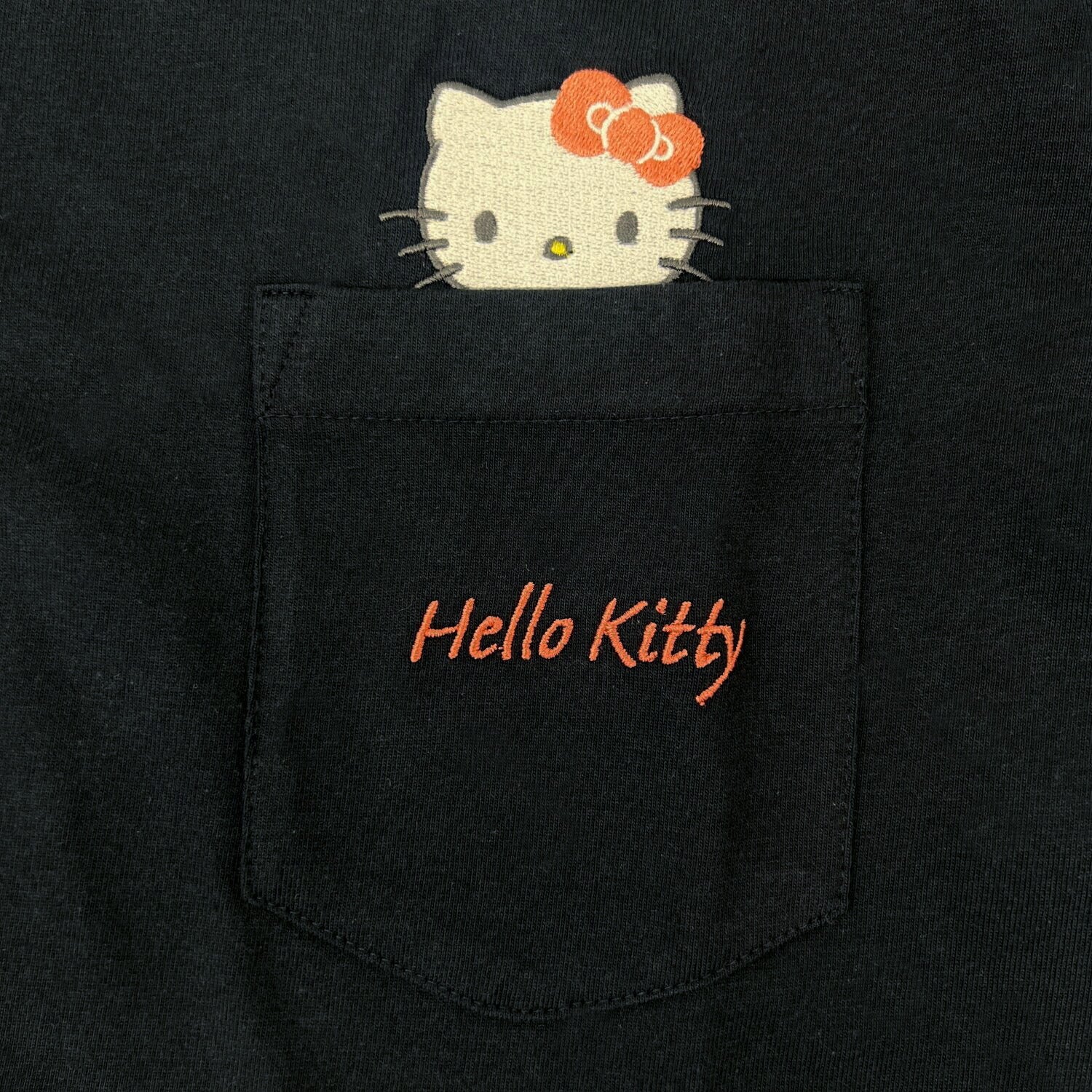 ハローキティ 半袖 Tシャツ 刺繍 ポケット付き プリント 天竺 サンリオ キャラクターズ hellokitty sanrio hk1162-48