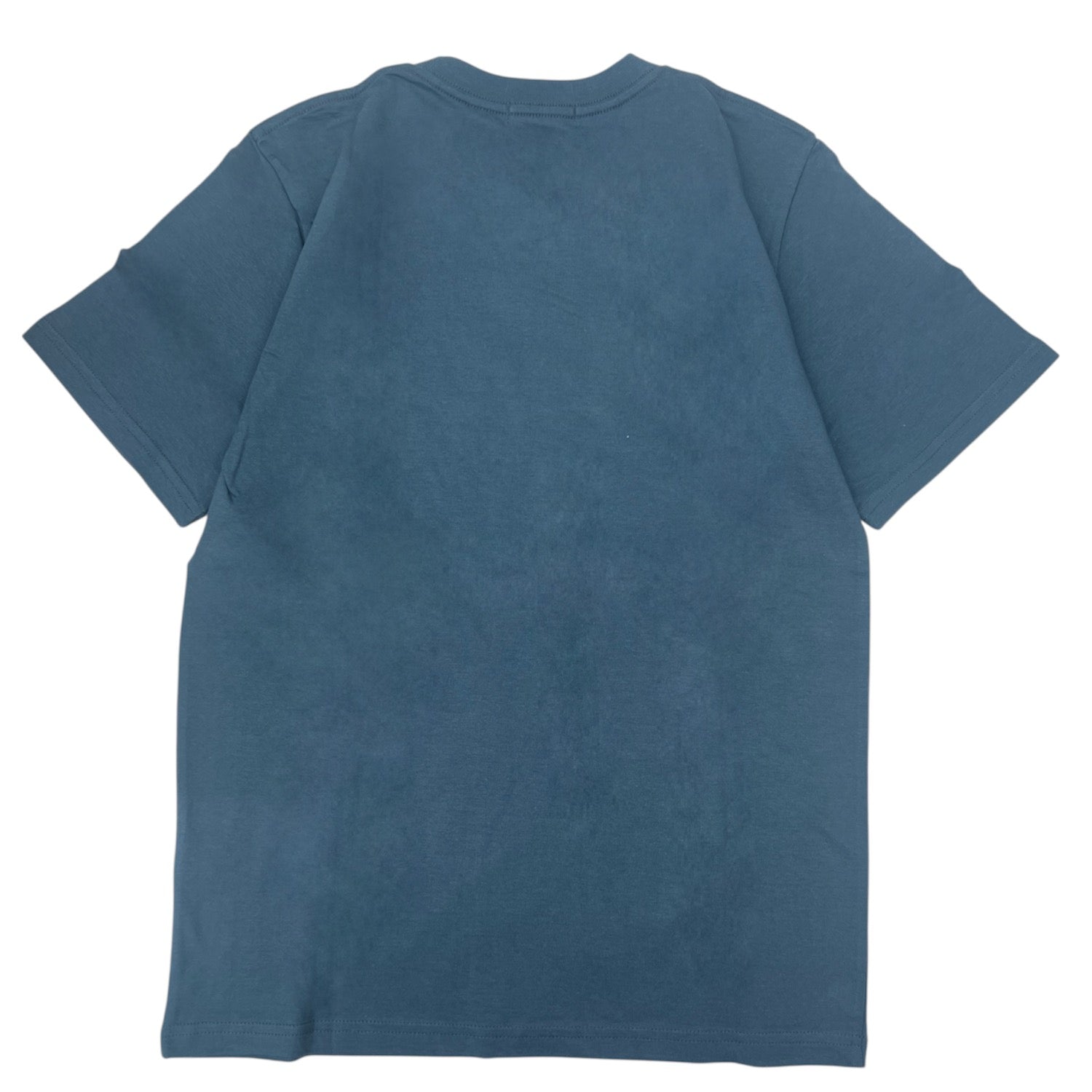 はぴだんぶい 忍者柄 半袖 Tシャツ 天竺 プリント メンズ レディース Hapidanbui hv1162-66