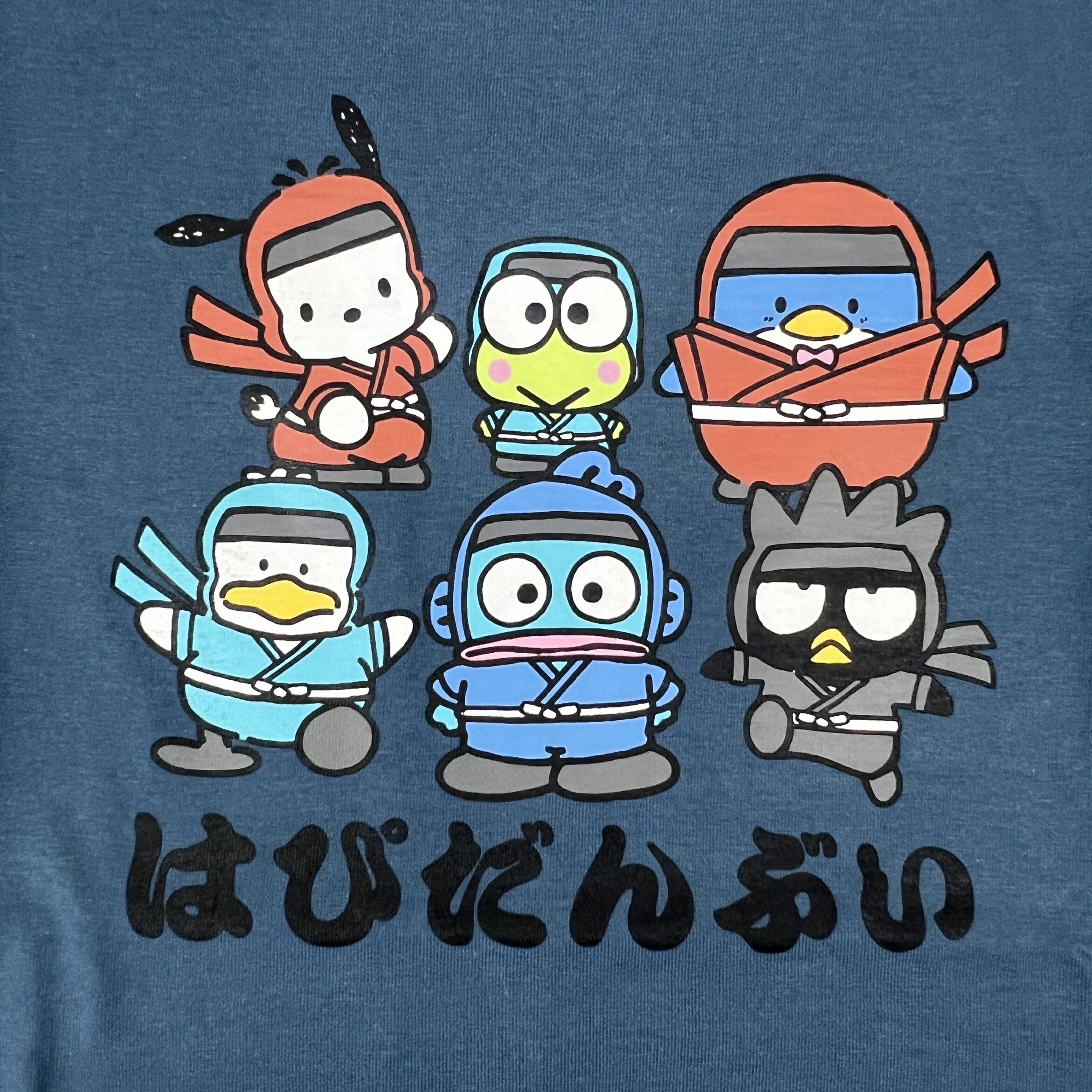 はぴだんぶい 忍者柄 半袖 Tシャツ 天竺 プリント メンズ レディース Hapidanbui hv1162-66