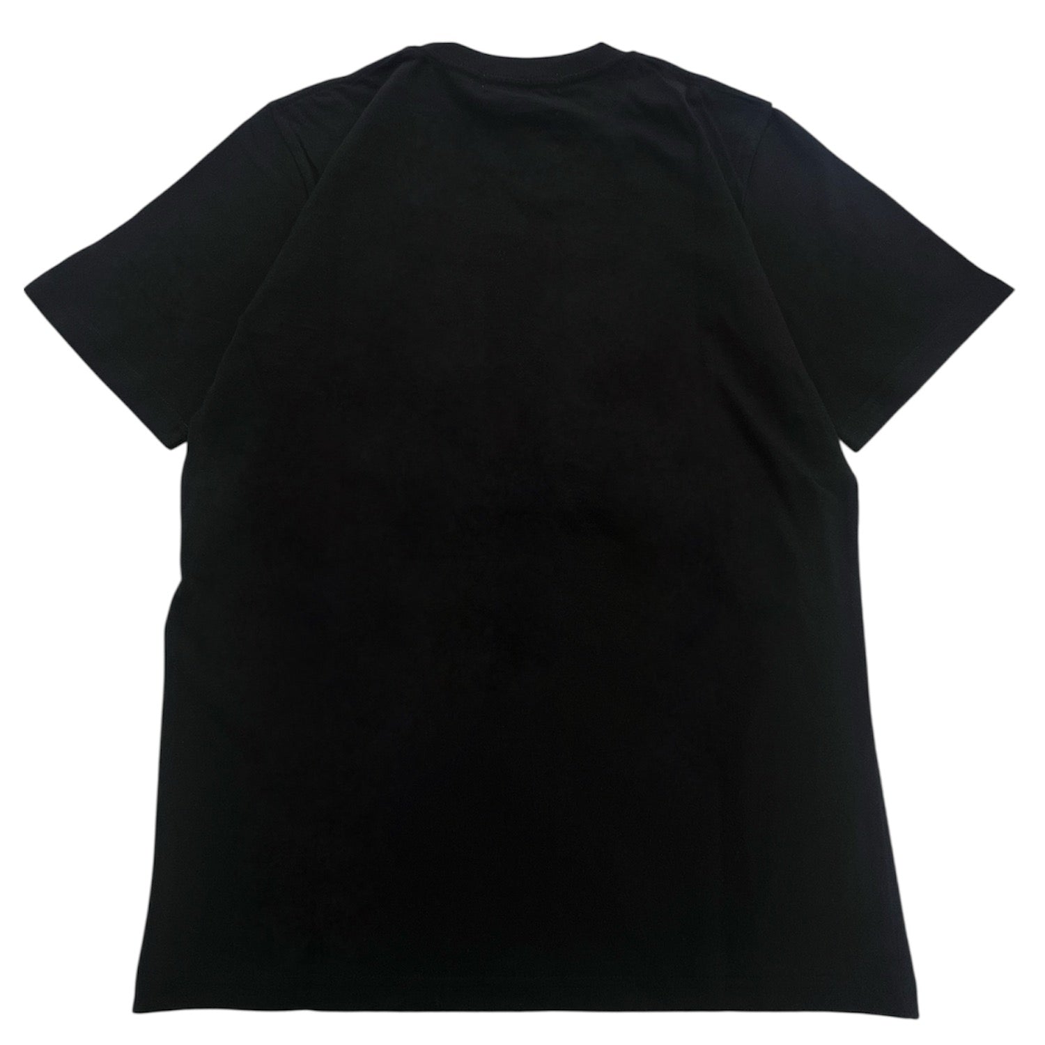 けろけろけろっぴ 半袖 Tシャツ プリント 刺繍 天竺 メンズ レディース サンリオ キャラクターズ keroppi sanrio kk1162-49