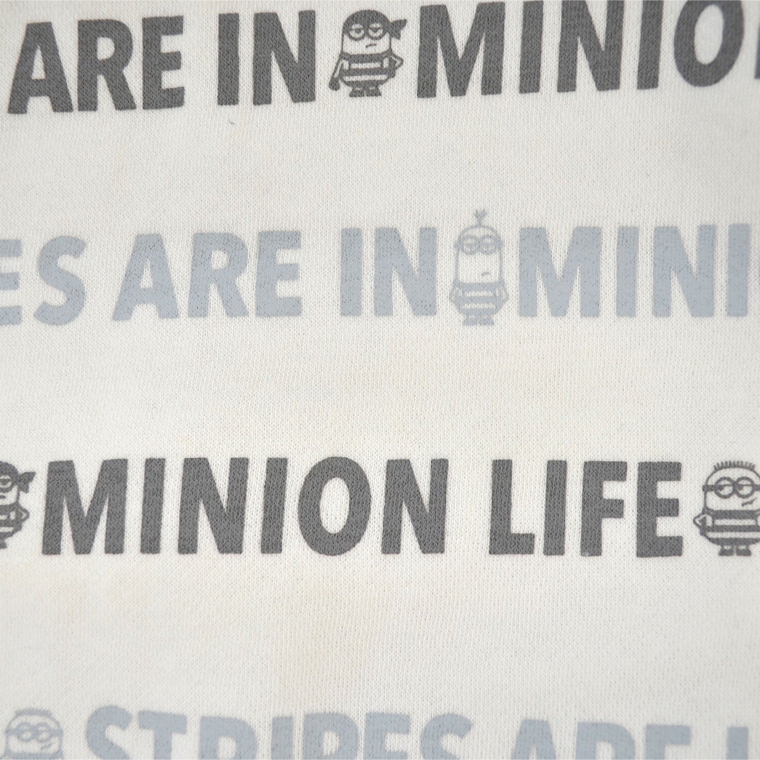 ミニオン ミニオンズ トレーナー 裏起毛 スウェット プリント ms1304-640