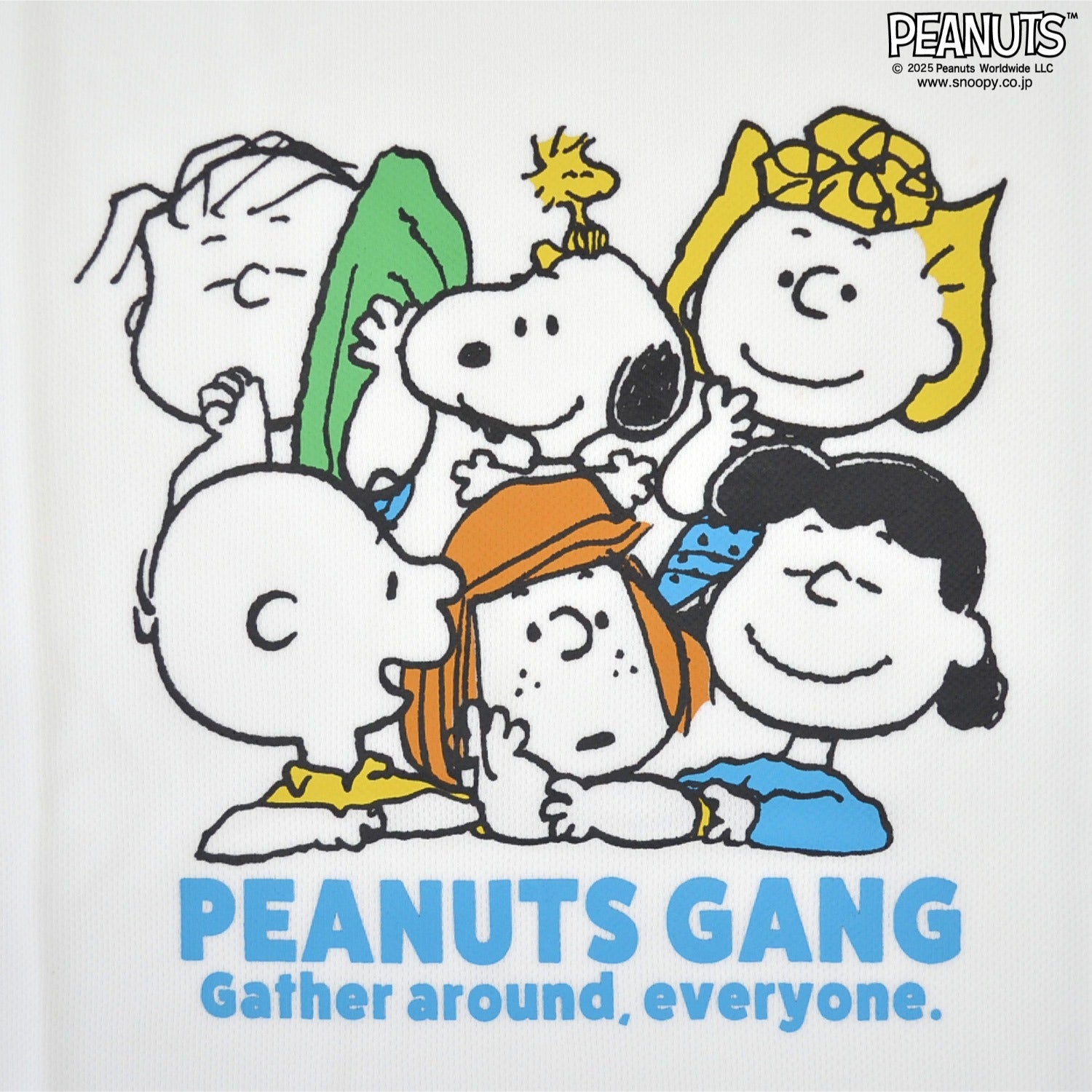 スヌーピー Tシャツ 半袖 プリント ハニカム ドライ トップス SNOOPY PEANUTS s1142-192