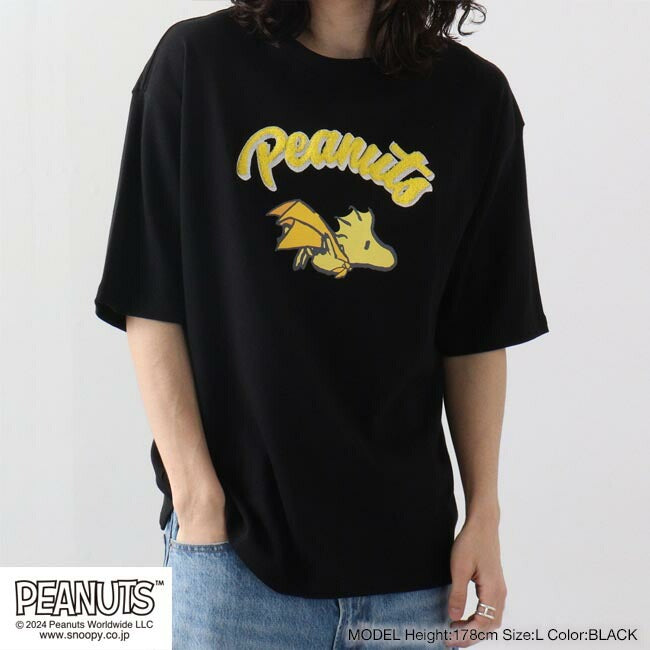 スヌーピー ウッドストック トップス Tシャツ 半袖 刺繍 プリント PEANUTS SNOOPY s1142-41sp
