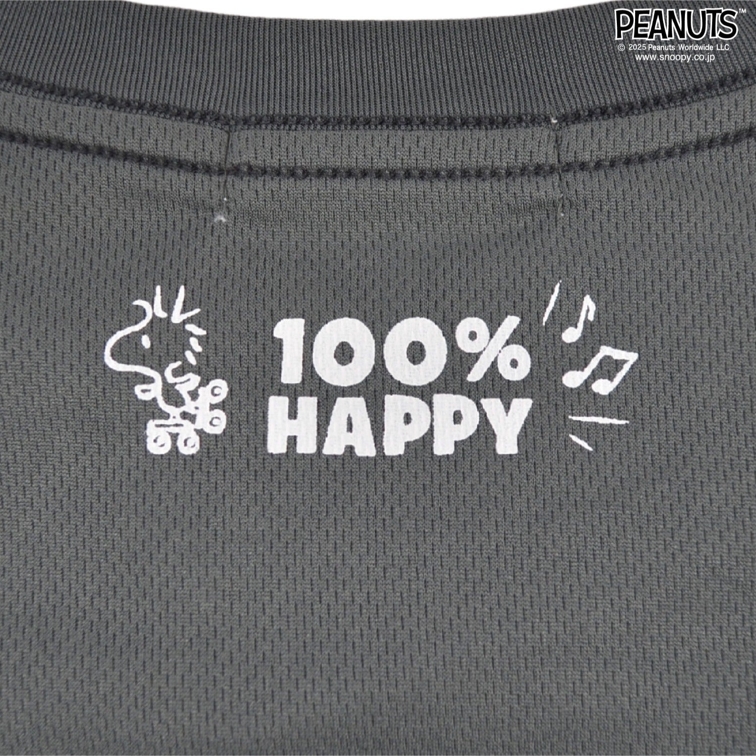 スヌーピー Tシャツ プリント ハニカムドライ 半袖 トップス SNOOPY PEANUTS s1152-120sp