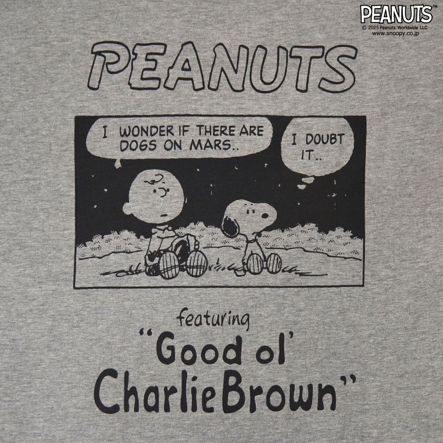 スヌーピー Tシャツ 半袖 トップス ドロップショルダー ヘビーウェイト コミック 発泡 プリント SNOOPY PEANUTS s1152-14sp