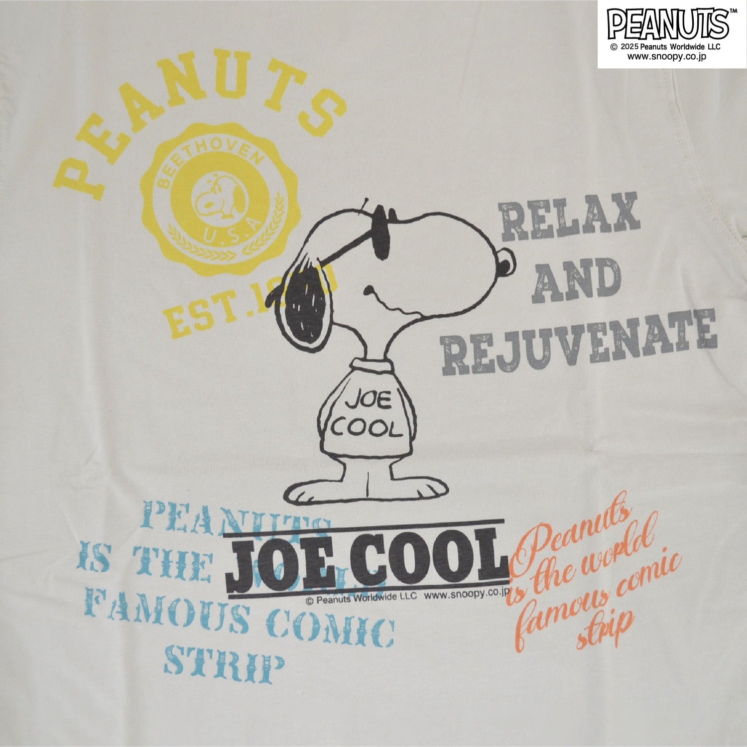 スヌーピー ジョークール Tシャツ 半袖 トップス ピグメントプリント ヴィンテージ SNOOPY JOECOOL PEANUTS s1152-275sp