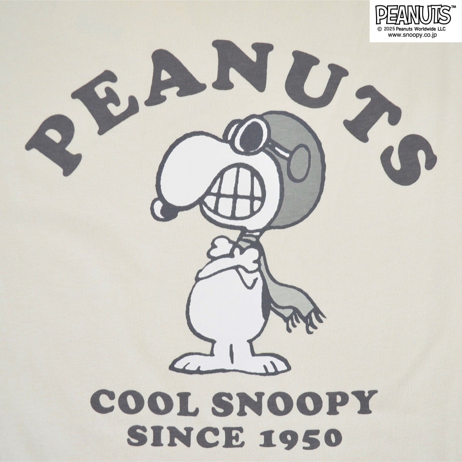 スヌーピー フライングエース Tシャツ 半袖 トップス ピグメントプリント ヴィンテージ SNOOPY JOECOOL PEANUTS s1152-276sp
