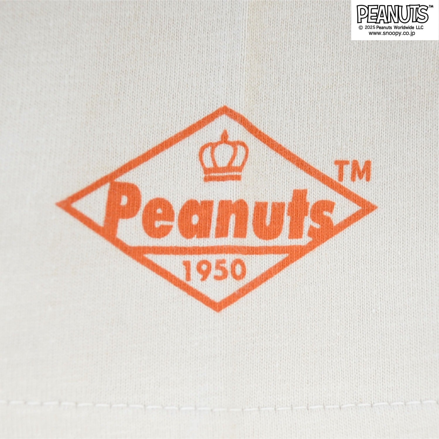スヌーピー フライングエース Tシャツ 半袖 トップス ピグメントプリント ヴィンテージ SNOOPY JOECOOL PEANUTS s1152-276sp