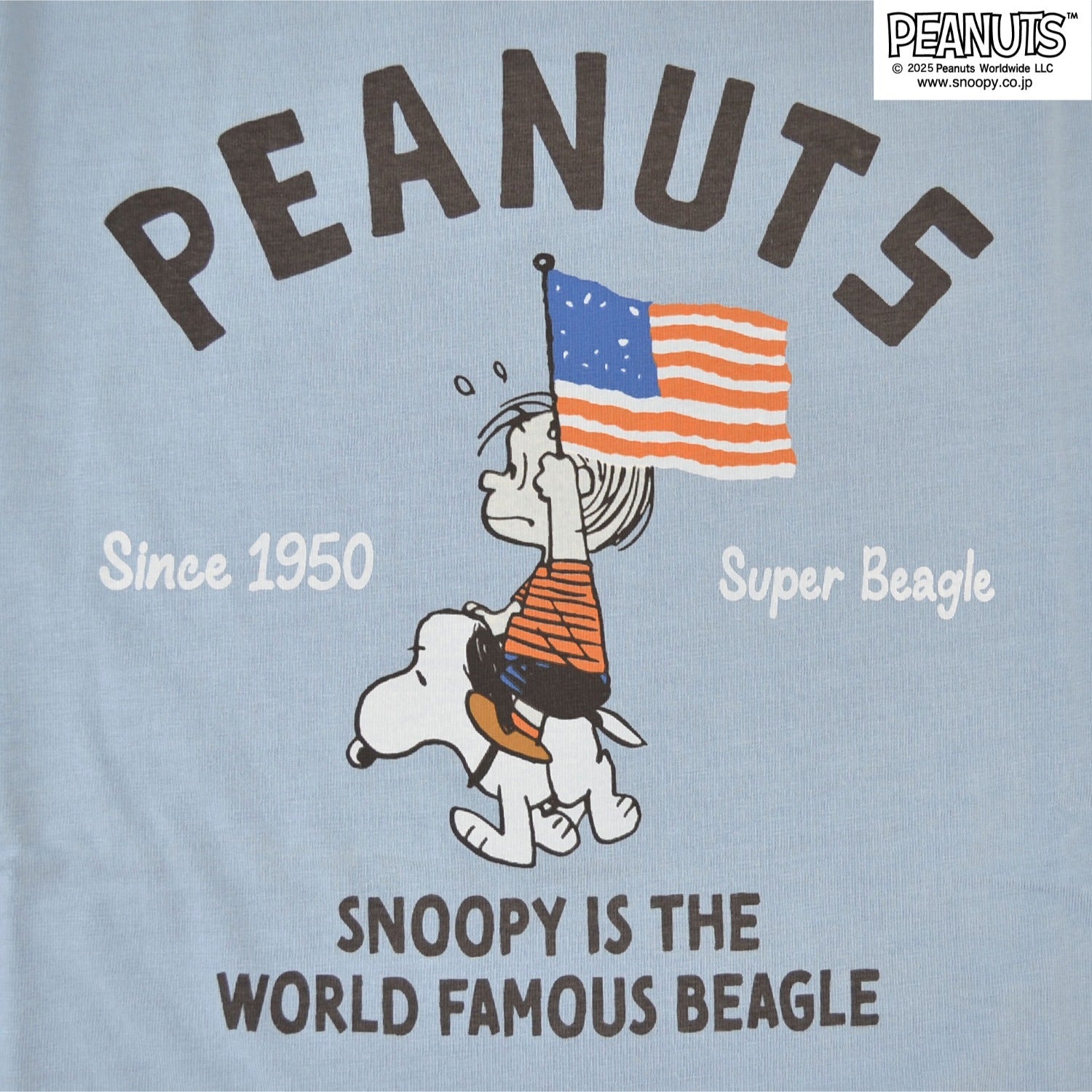 スヌーピー ライナス Tシャツ 半袖 トップス ピグメントプリント ヴィンテージ SNOOPY PEANUTS s1152-277sp