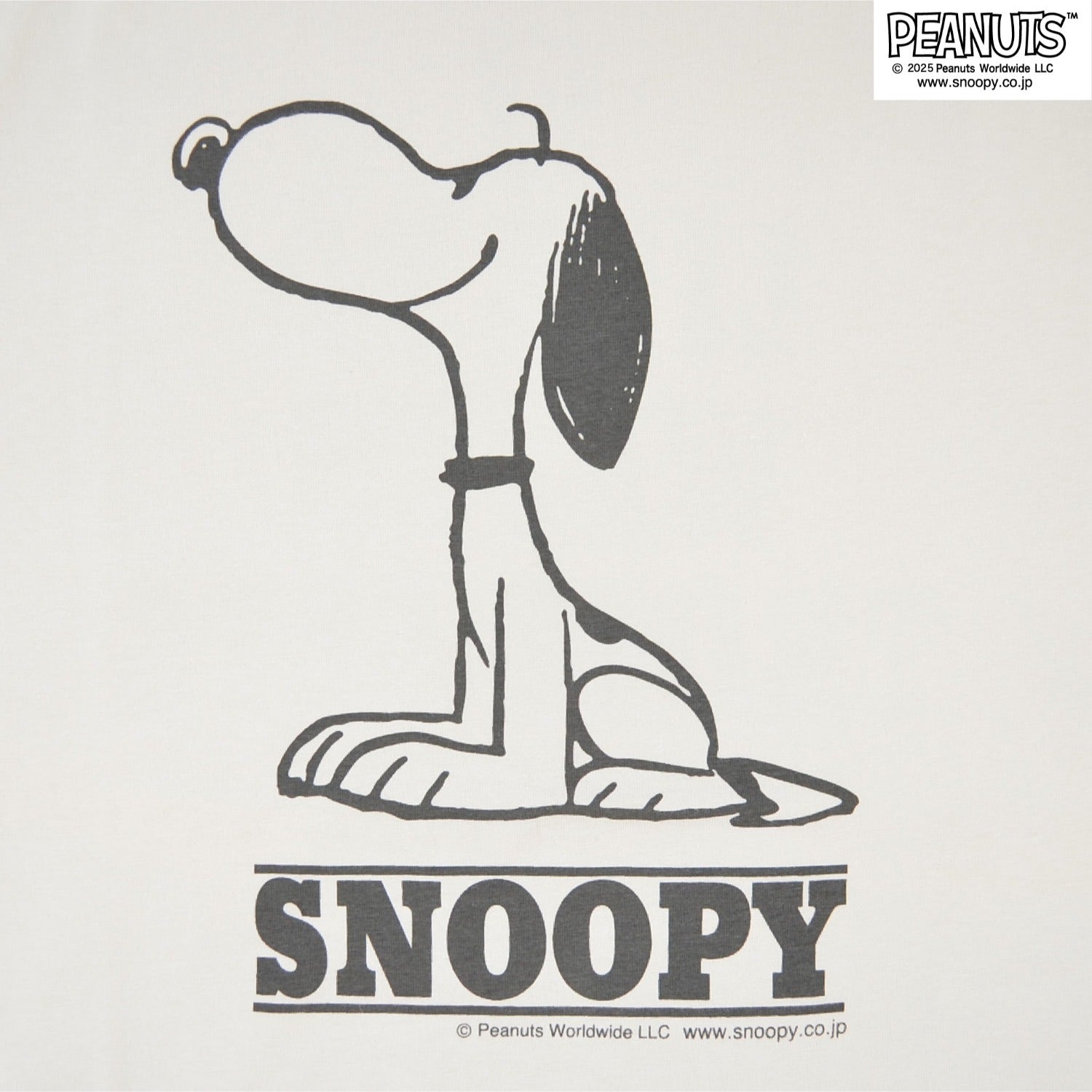 スヌーピー Tシャツ 半袖 トップス ピグメントプリント ヴィンテージ SNOOPY PEANUTS s1152-278sp