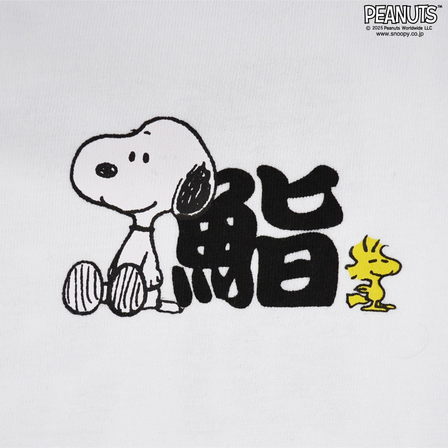 スヌーピー 半袖 Tシャツ 魚編 漢字 プリント 春夏 ウッドストック SNOOPY PEANUTS s1152-368sp