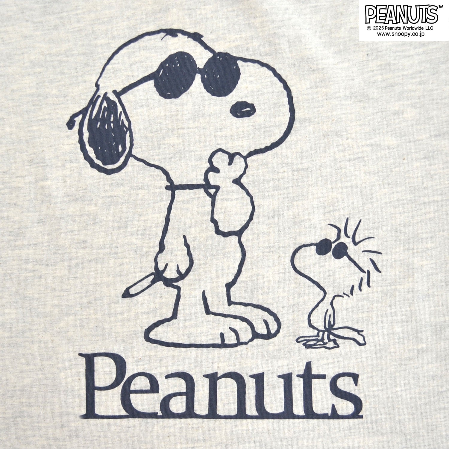 スヌーピー ジョークール ウッドストック チャーリーブラウン リンガーネック Tシャツ 半袖 トップス 友達柄 SNOOPY PEANUTS s1152-418sp