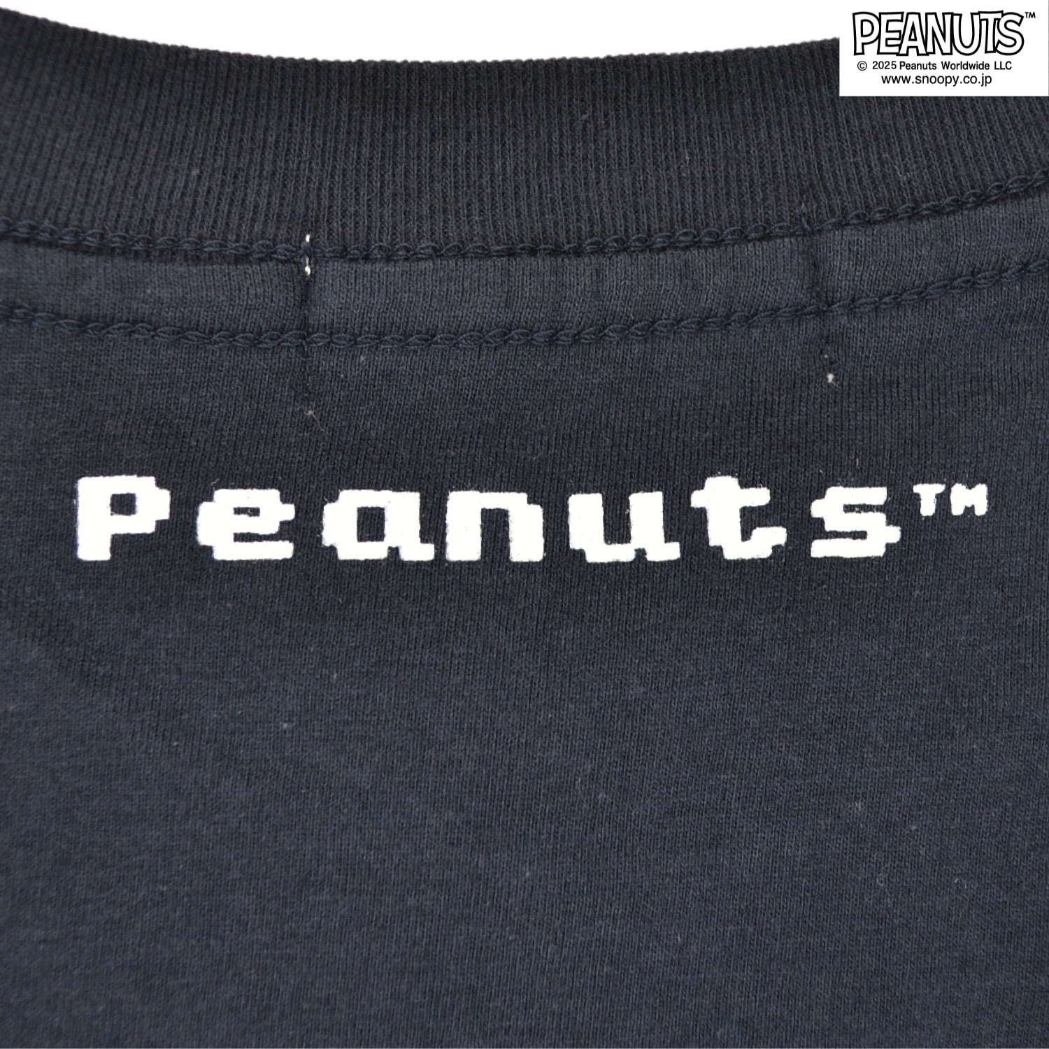 スヌーピー チャーリー・ブラウン ピクセル プリント 半袖 Tシャツ SNOOPY Charlie Brown PEANUTS s1152-42sp