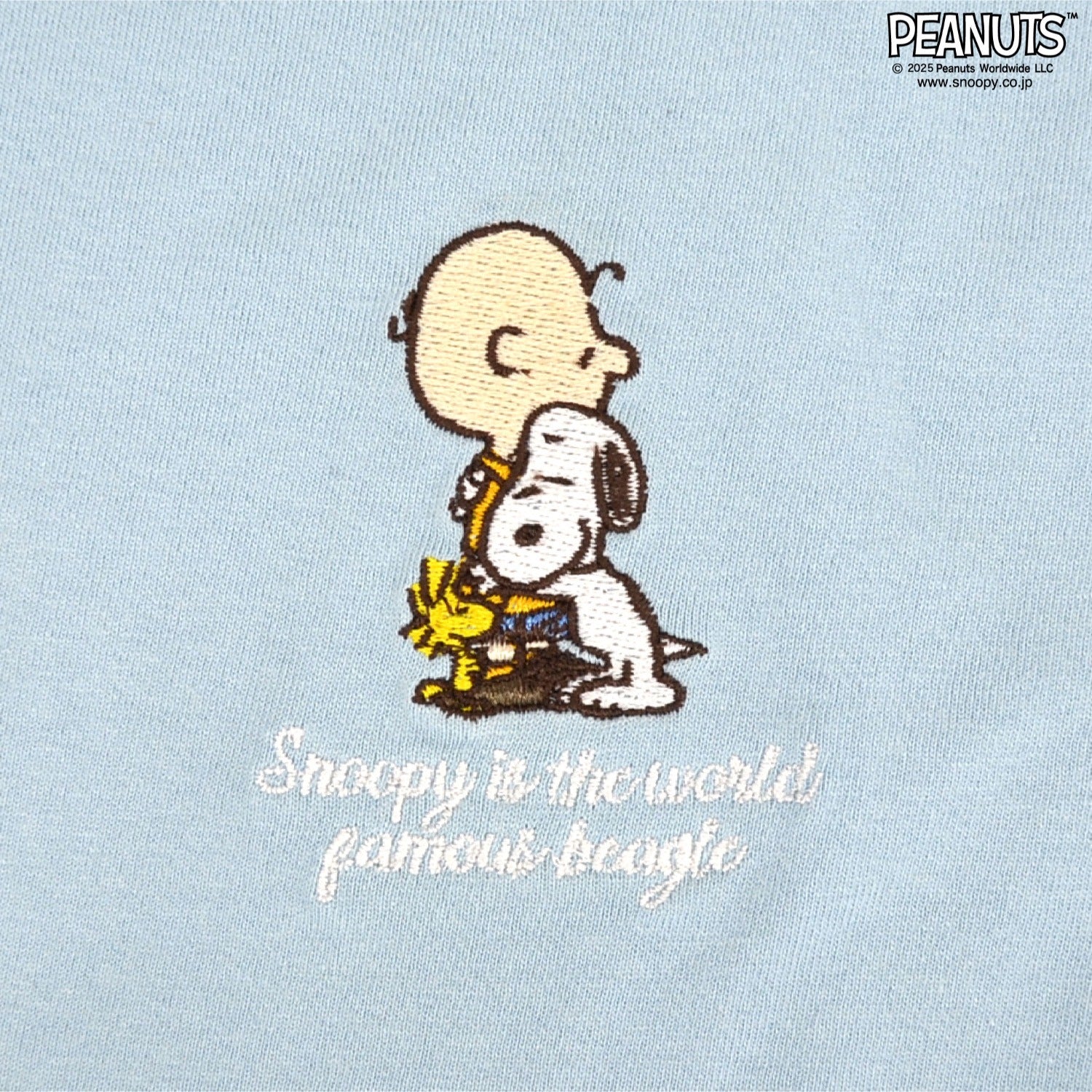 スヌーピー Tシャツ 半袖 トップス 刺繍 チャーリーブラウン SNOOPY PEANUTS s1152-53sp