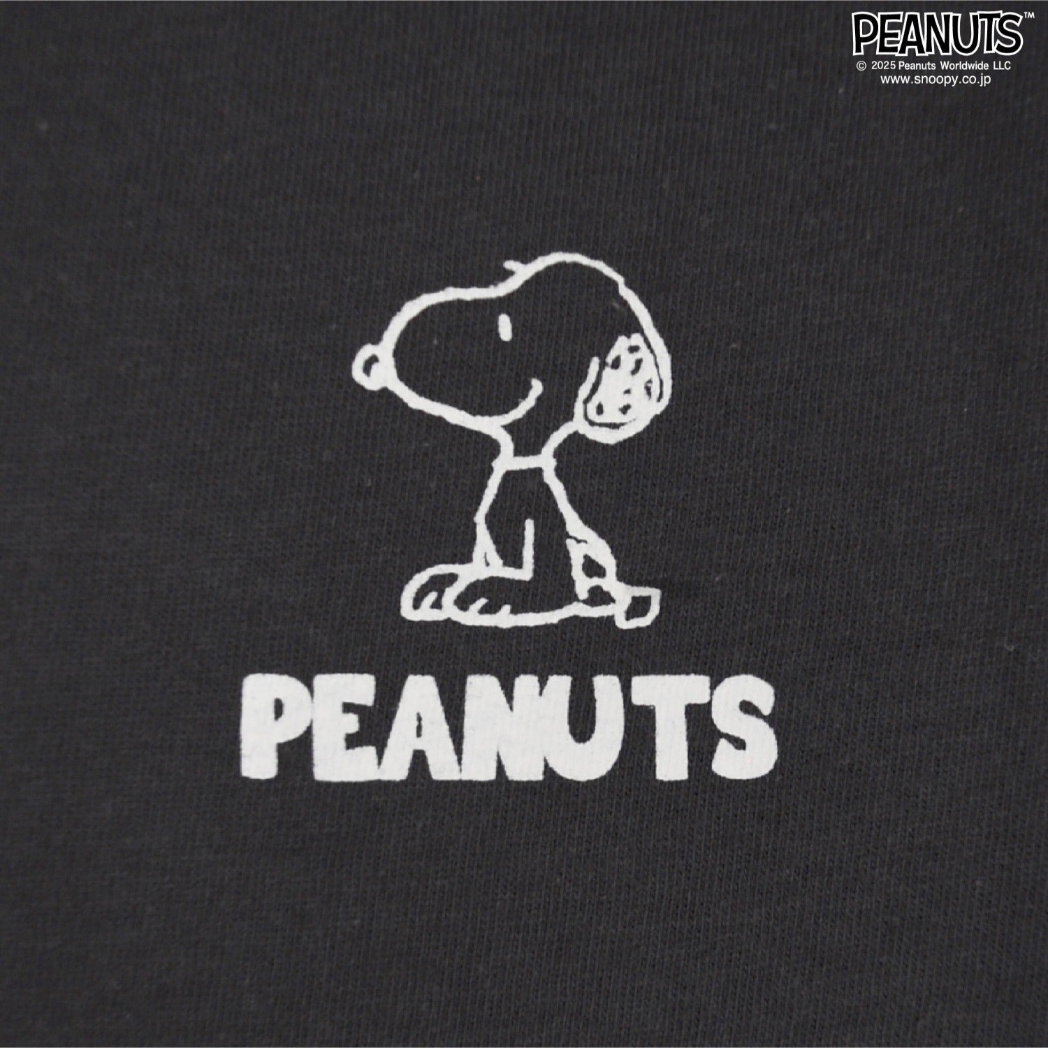 スヌーピー Tシャツ 半袖 トップス バック プリント ウッドストック SNOOPY PEANUTS s1152-55sp