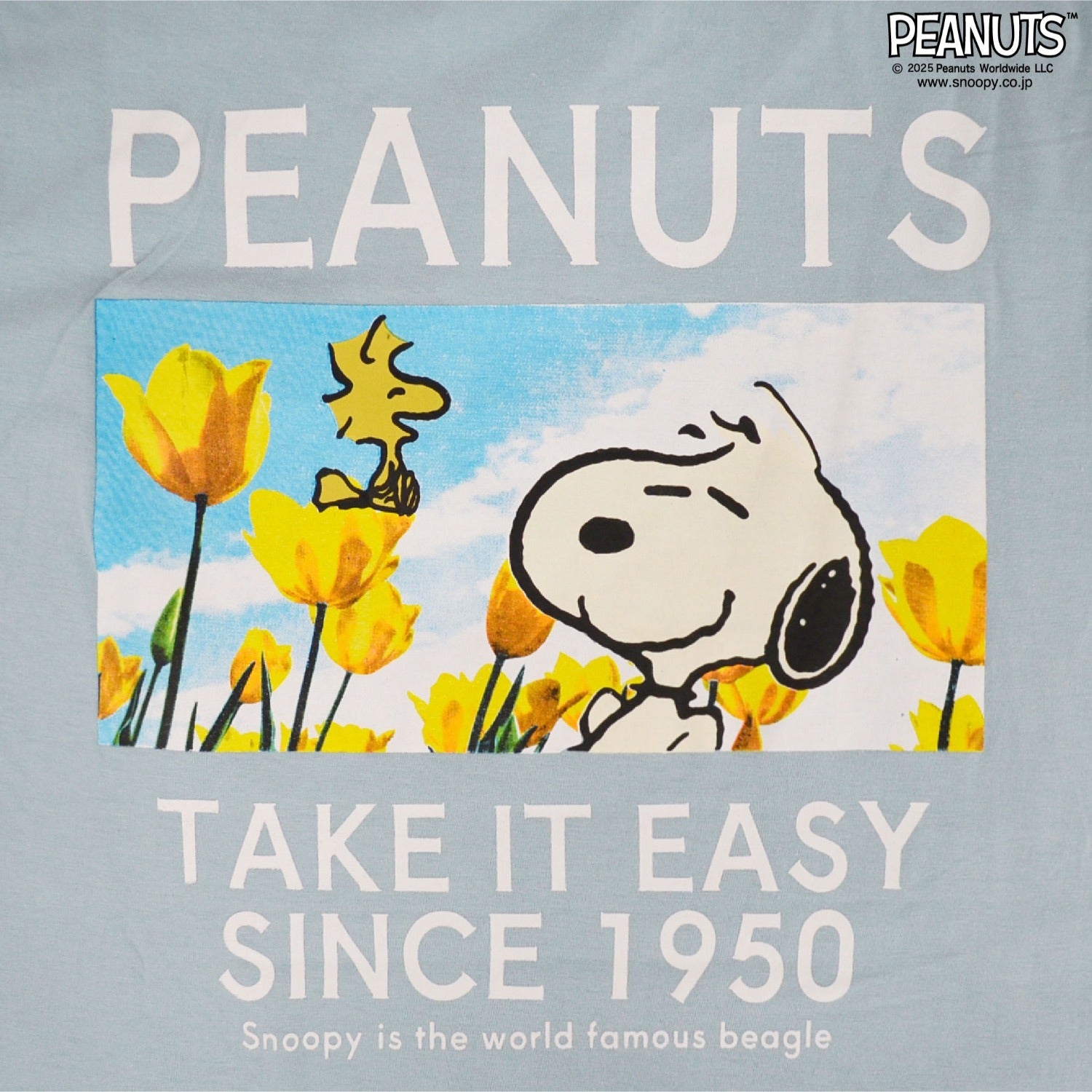 スヌーピー Tシャツ 半袖 トップス バック フォト プリント 刺繍 SNOOPY PEANUTS s1152-65sp