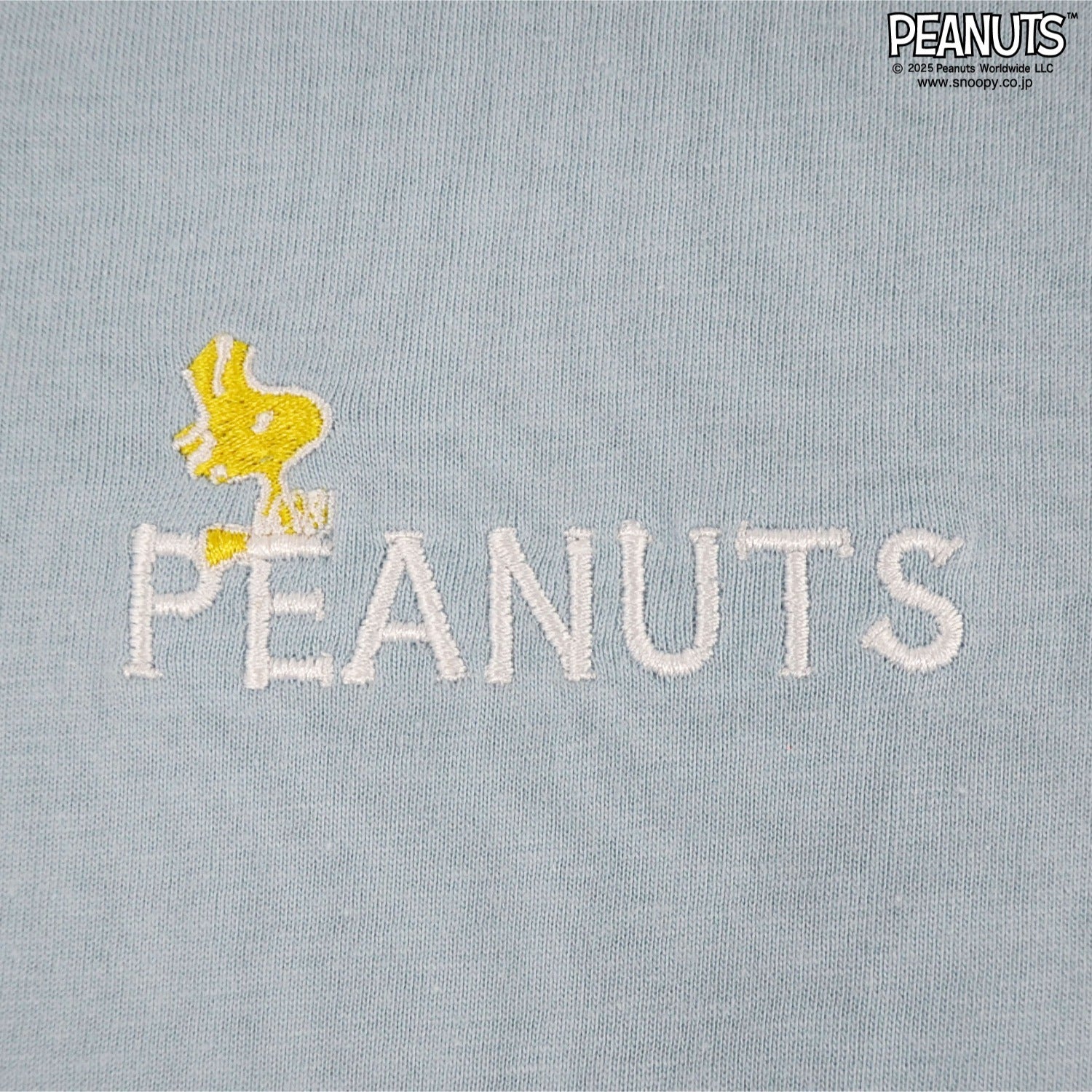 スヌーピー Tシャツ 半袖 トップス バック フォト プリント 刺繍 SNOOPY PEANUTS s1152-65sp