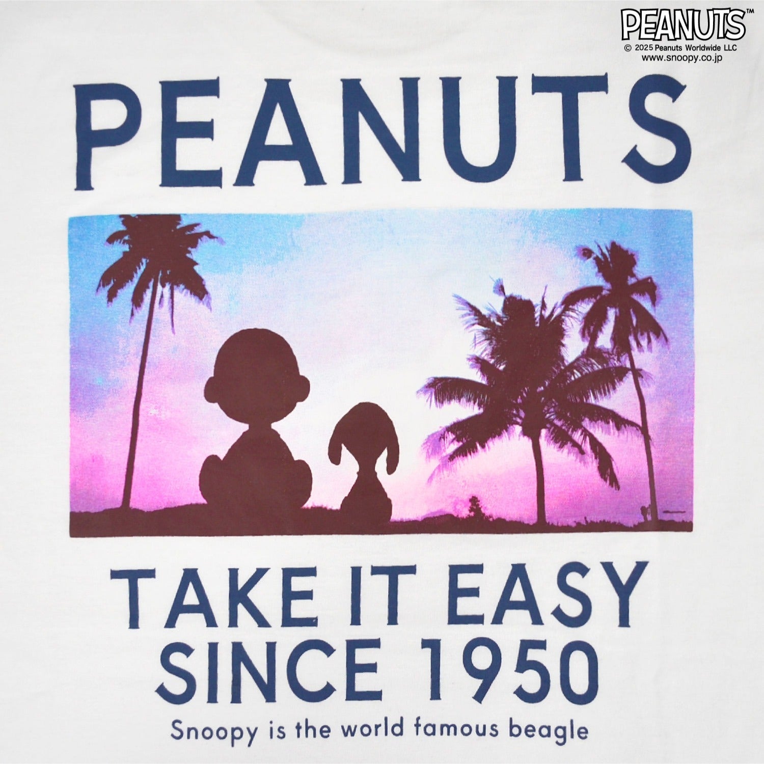 スヌーピー Tシャツ 半袖 トップス バック フォト プリント 刺繍 SNOOPY PEANUTS s1152-66sp