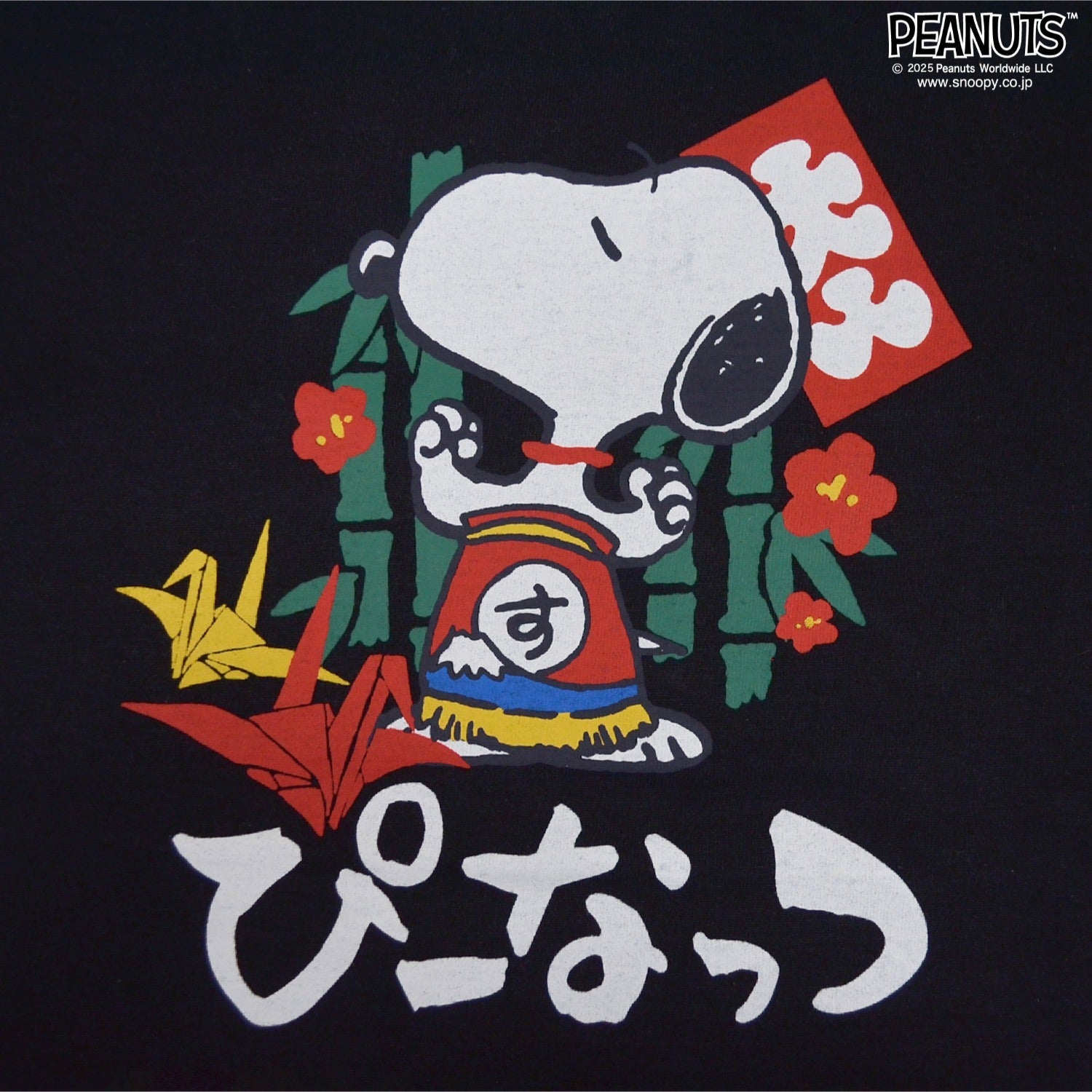 スヌーピー Tシャツ 半袖 トップス バック フォト プリント 刺繍 SNOOPY PEANUTS s1152-67sp