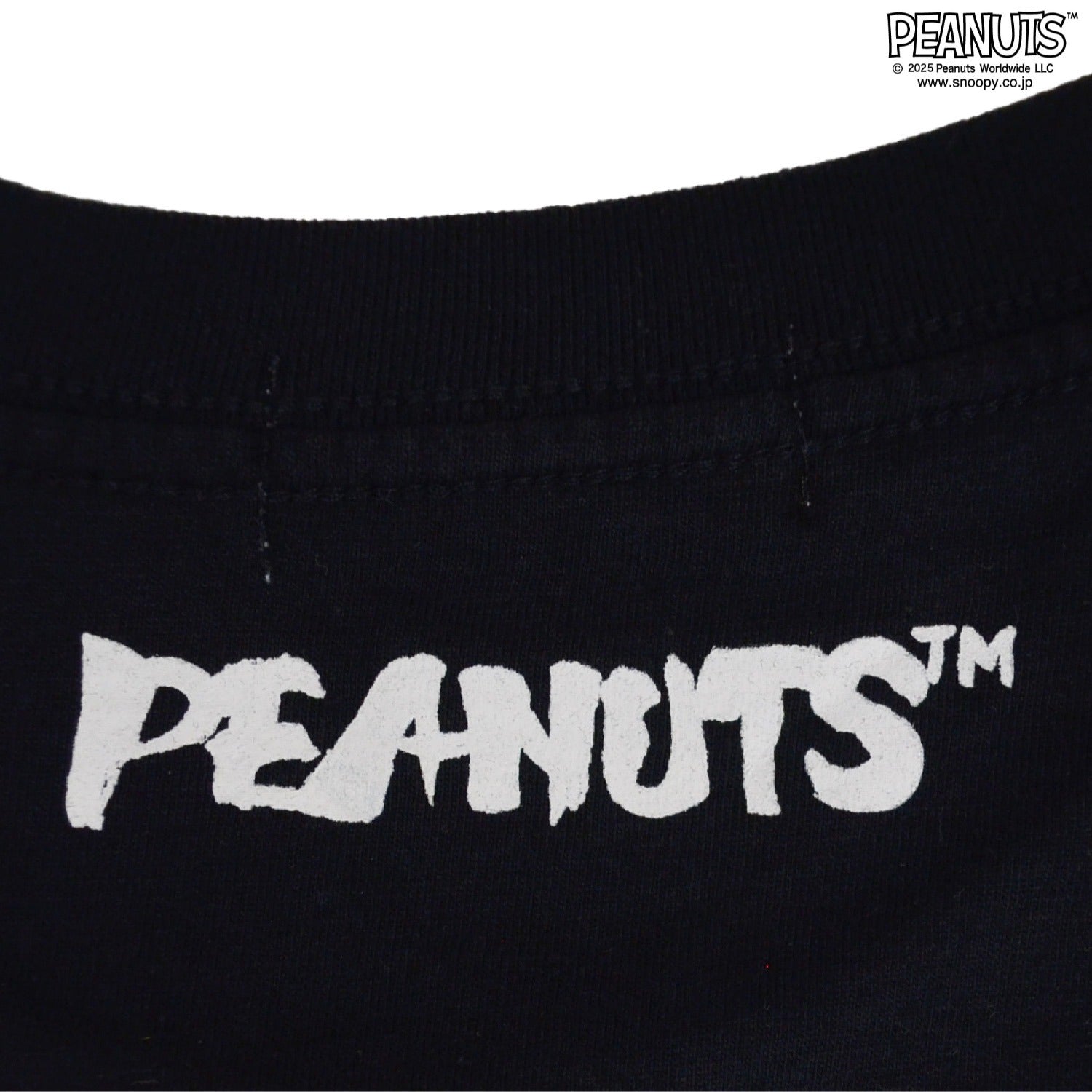 スヌーピー Tシャツ 半袖 トップス バック フォト プリント 刺繍 SNOOPY PEANUTS s1152-67sp