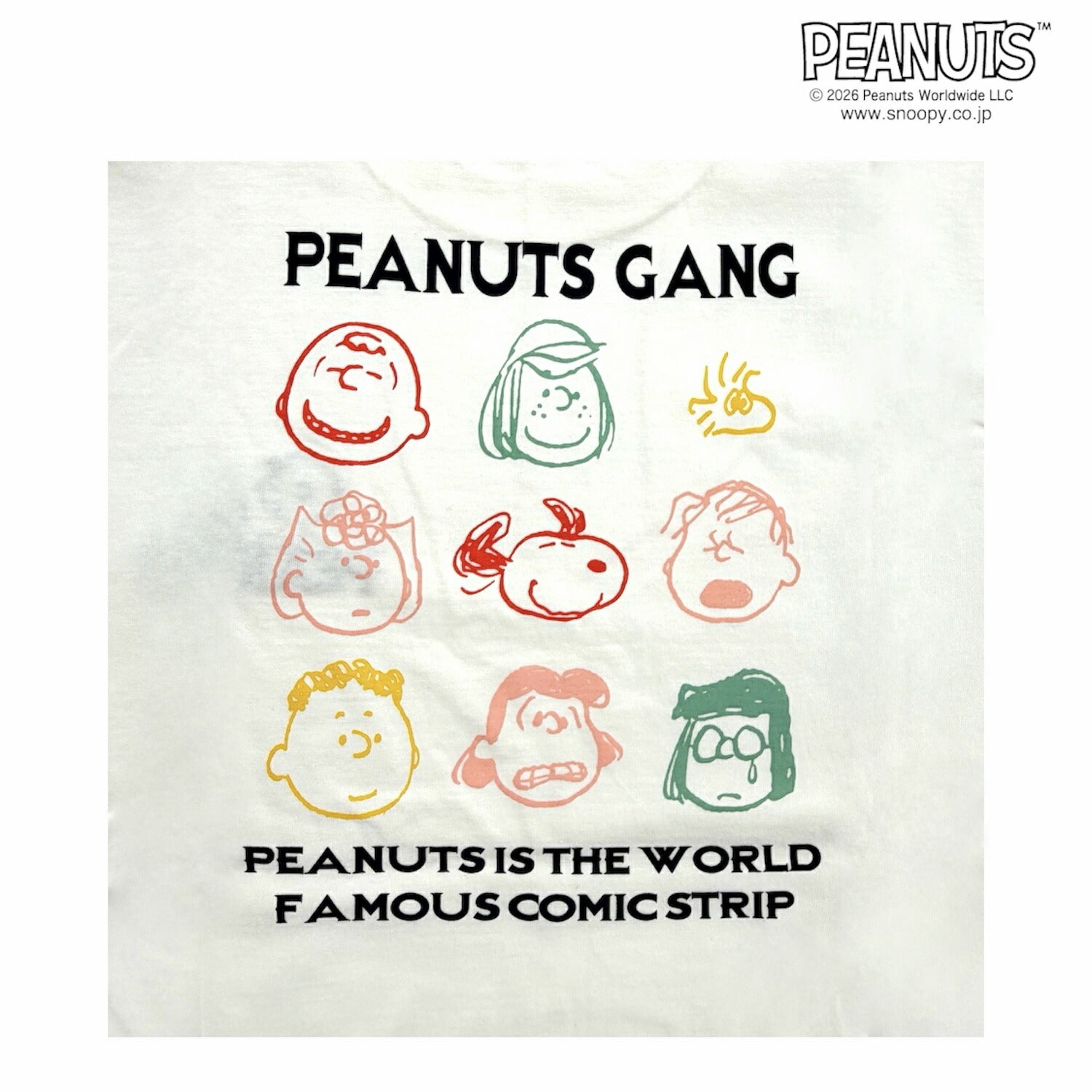 スヌーピー フレンズ 半袖 Tシャツ 刺繍 バックプリント 天竺 メンズ レディース 夏 SNOOPY PEANUTS s1162-101