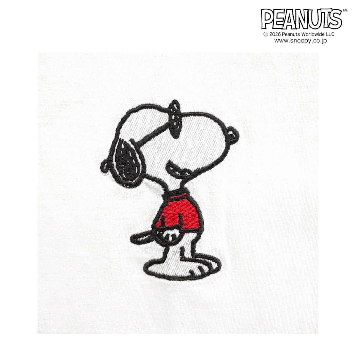 スヌーピー ジョークール 半袖 Tシャツ バック刺繍 天竺 メンズ レディース 夏 SNOOPY JOE COOL PEANUTS s1162-230sp