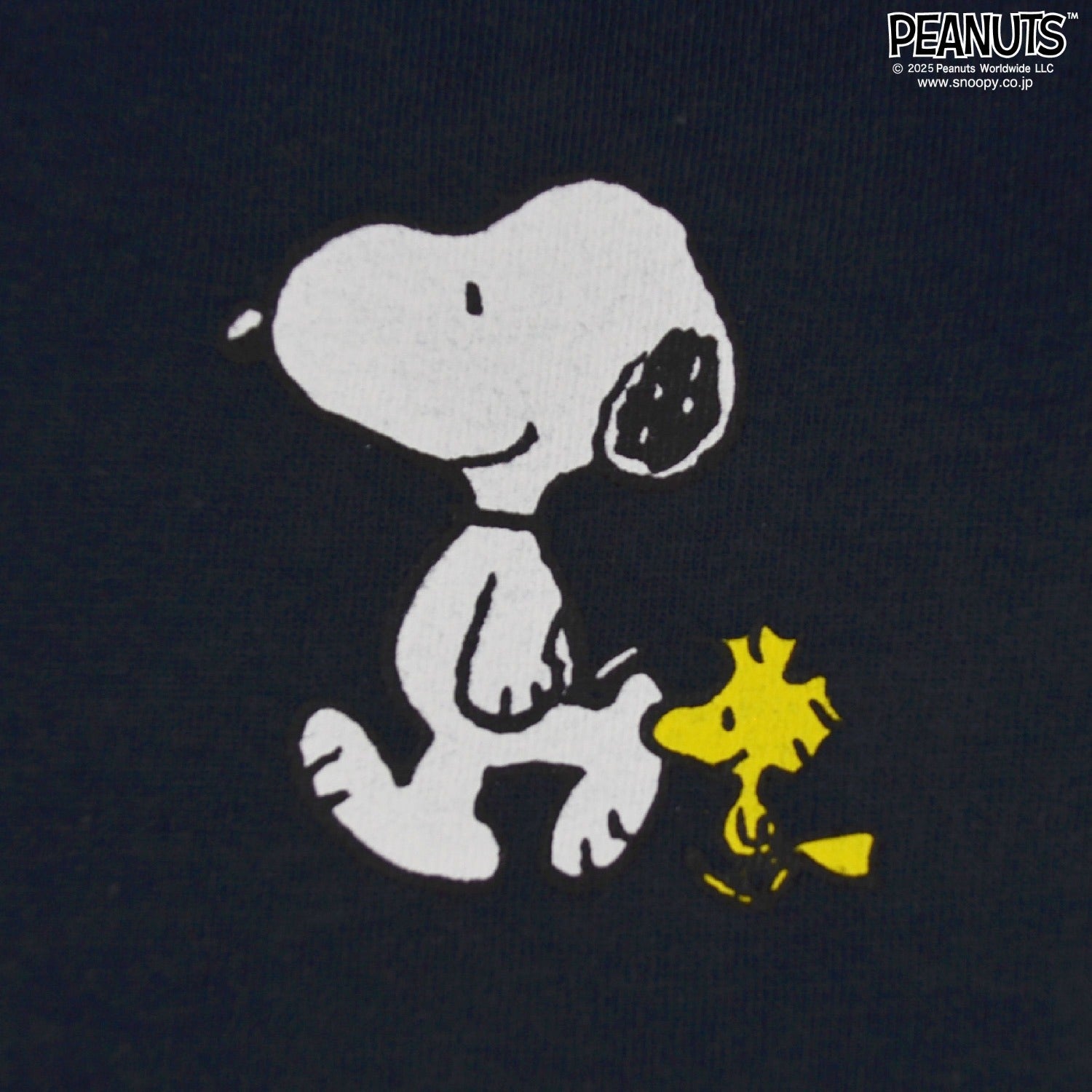 スヌーピー チャーリー・ブラウン Tシャツトップス 長袖 友達 兄弟 ボックス バック プリント SNOOPY PEANUTS s1251-06sp
