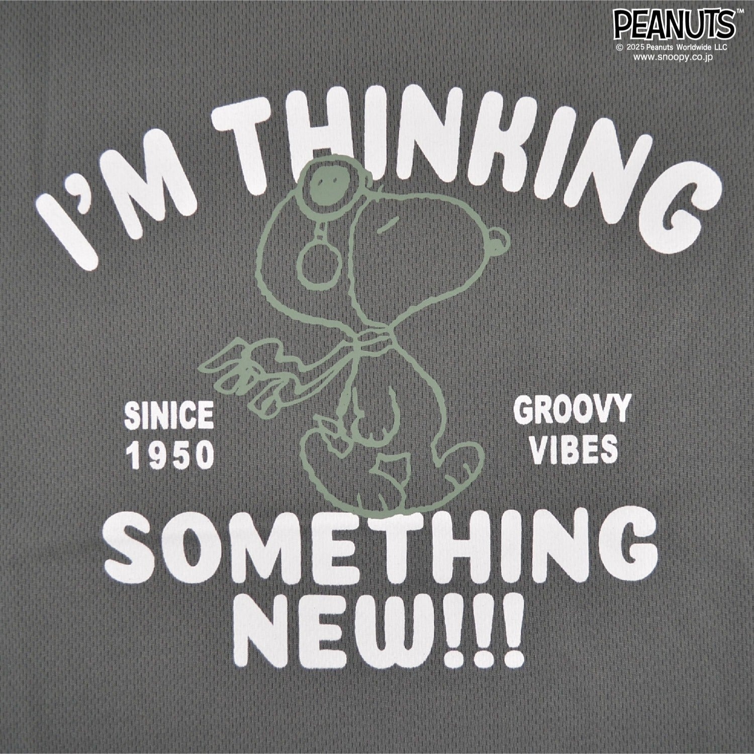 スヌーピー 半袖 Tシャツ ハーフ パンツ セットアップ 上下セット 巾着 フライングエース ギター ハニカム ドライ SNOOPY PEANUTS s1652-123sp