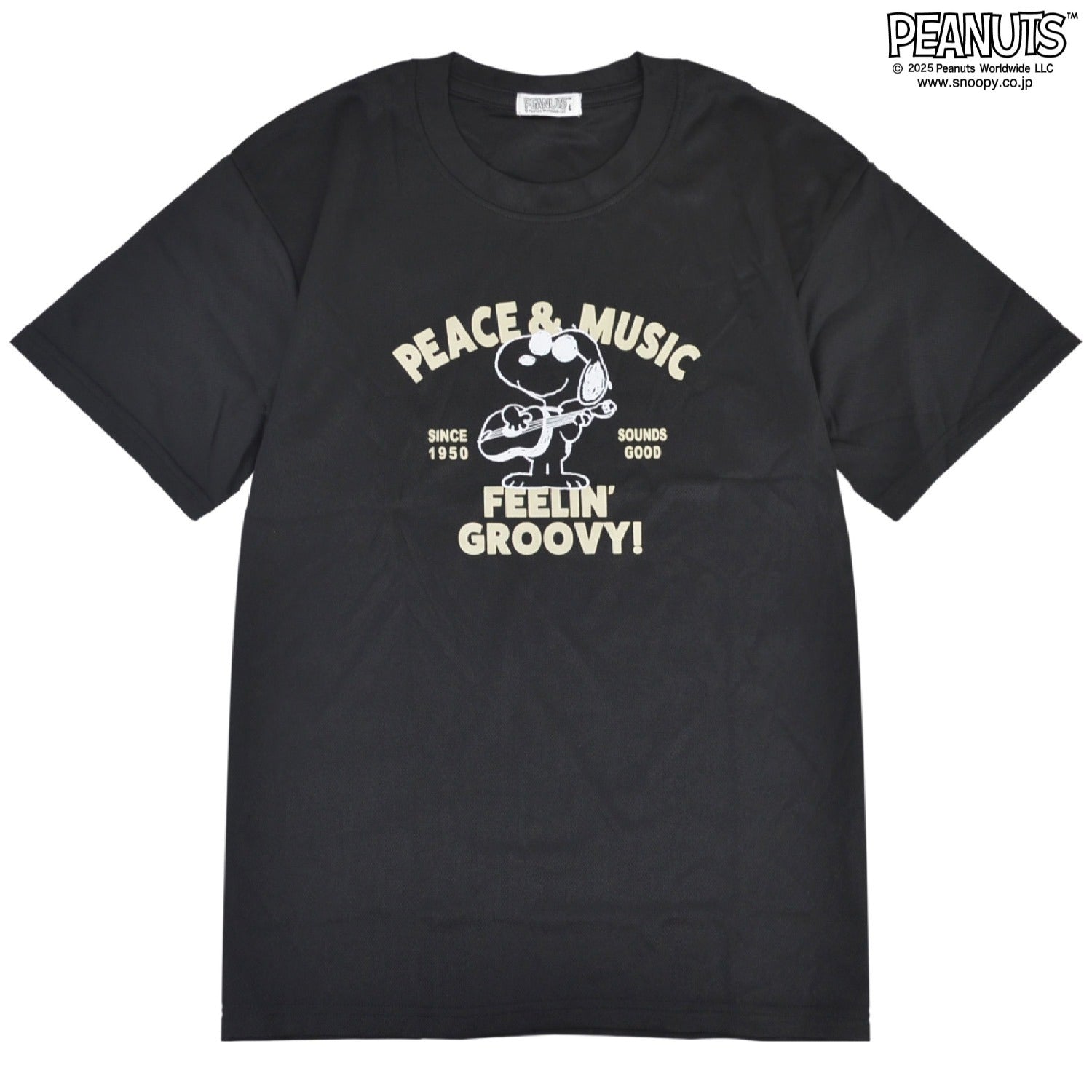 スヌーピー 半袖 Tシャツ ハーフ パンツ セットアップ 上下セット 巾着 フライングエース ギター ハニカム ドライ SNOOPY PEANUTS s1652-123sp
