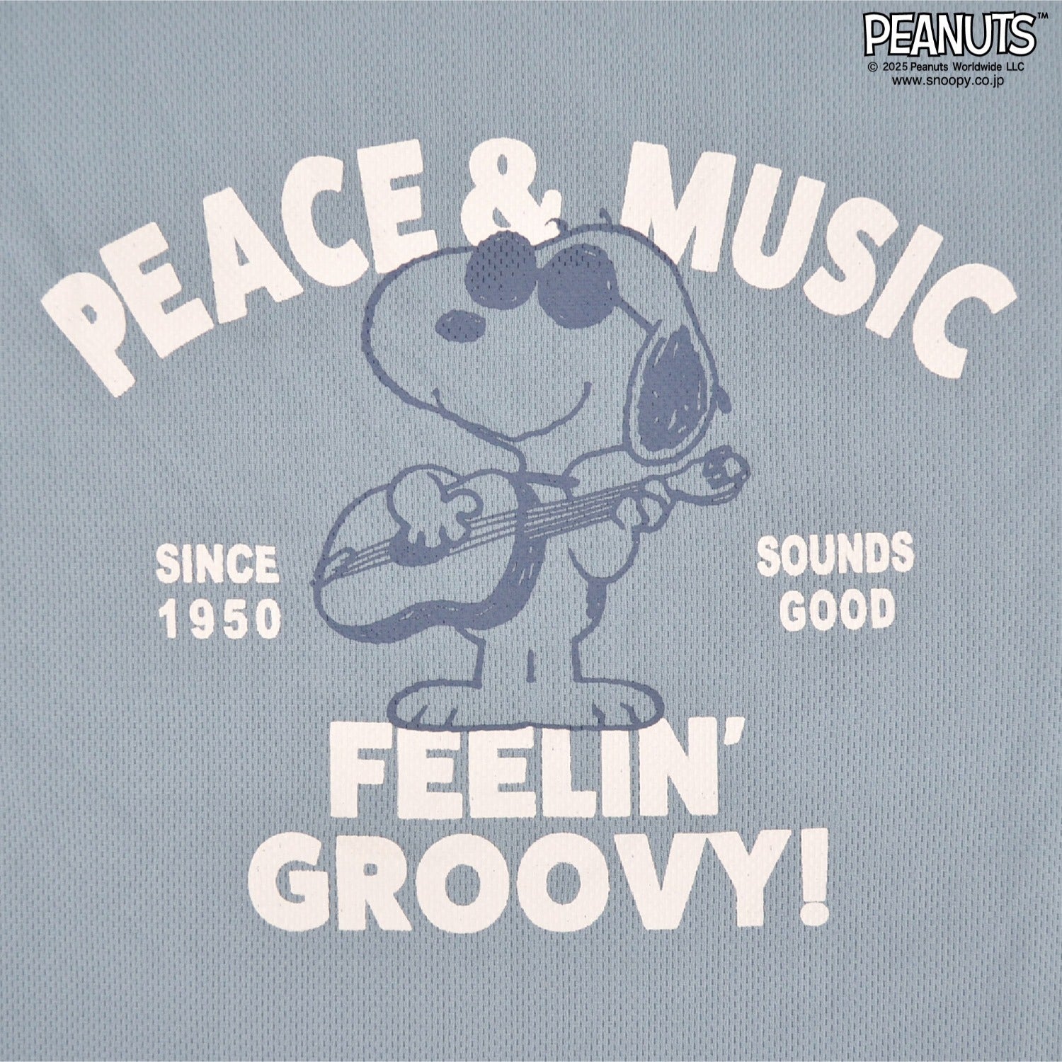 スヌーピー 半袖 Tシャツ ハーフ パンツ セットアップ 上下セット 巾着 フライングエース ギター ハニカム ドライ SNOOPY PEANUTS s1652-123sp