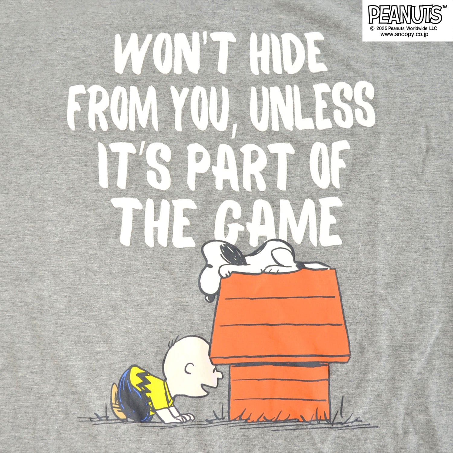 スヌーピー Tシャツ ワンピース 半袖 春夏 綿 天竺 チャーリーブラウン ライナス PEANUTS BIG s1752-426sp