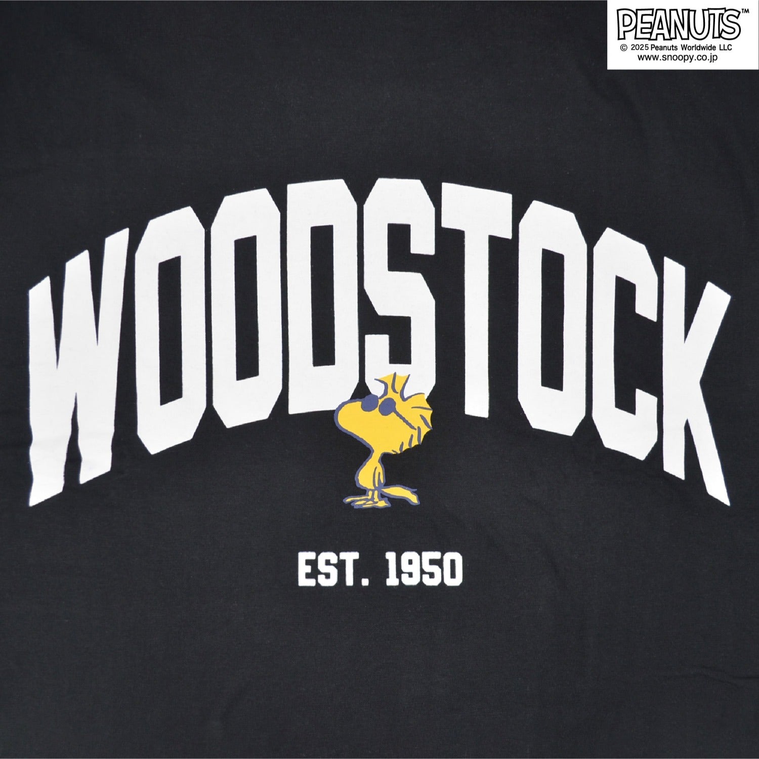 スヌーピー ウッドストック Tシャツ 半袖 グラデーション プリント ロゴ SNOOPY PEANUTS WOODSTOCK s1752-99sp