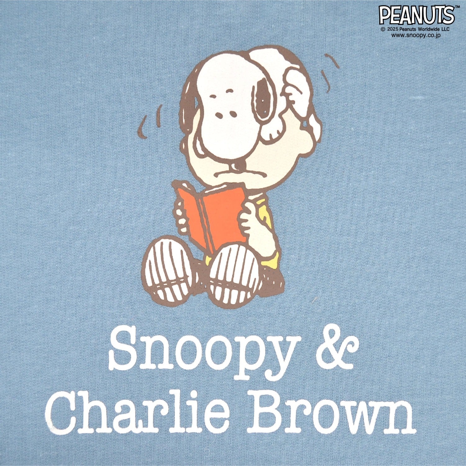 スヌーピー ミニ 裏毛 ワンピース フード チャーリーブラウン サリー SNOOPY PEANUTS s2752-33sp