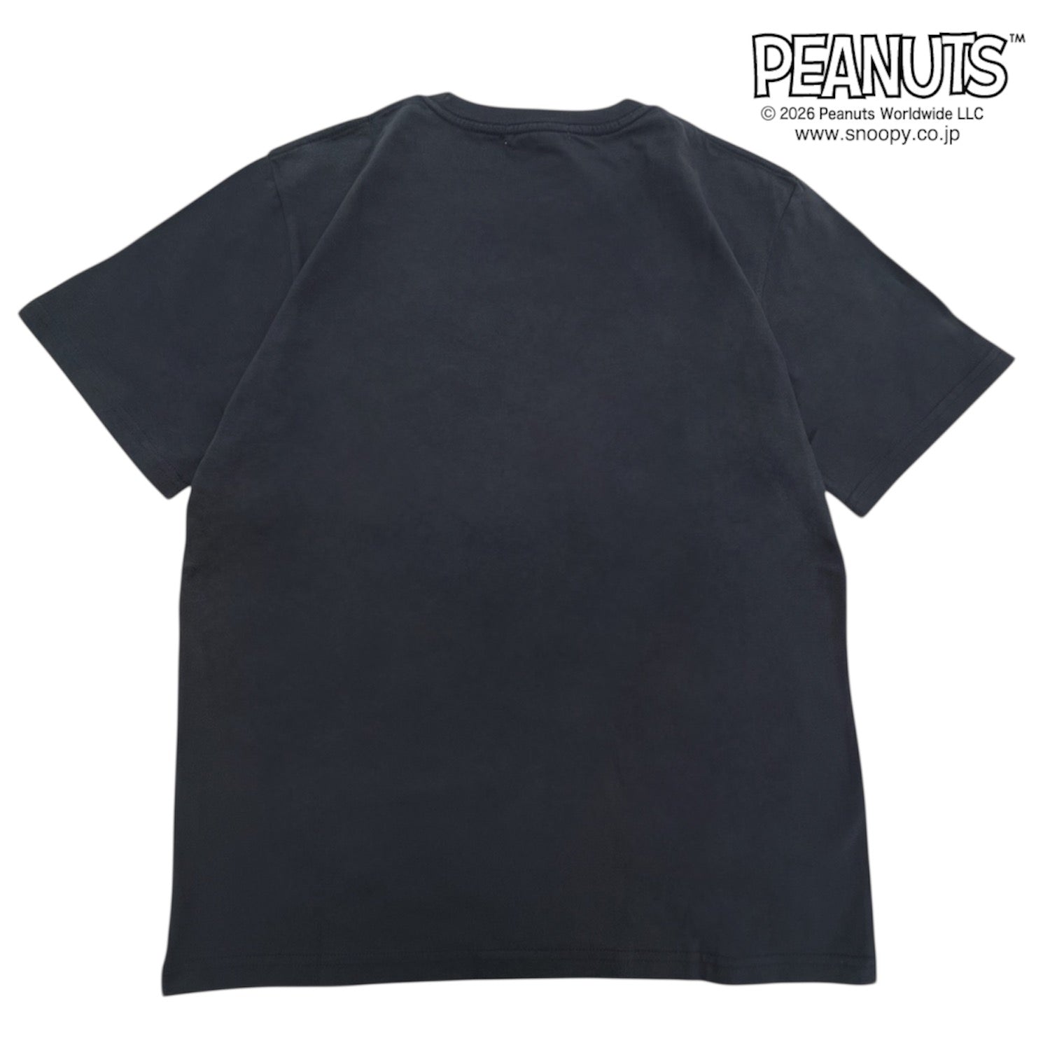 スヌーピー 半袖 Ｔシャツ 天竺 刺繍 メンズ レディース ジョー・クール チャーリー・ブラウン SNOOPY PEANUTS JOE COOL s1162-99