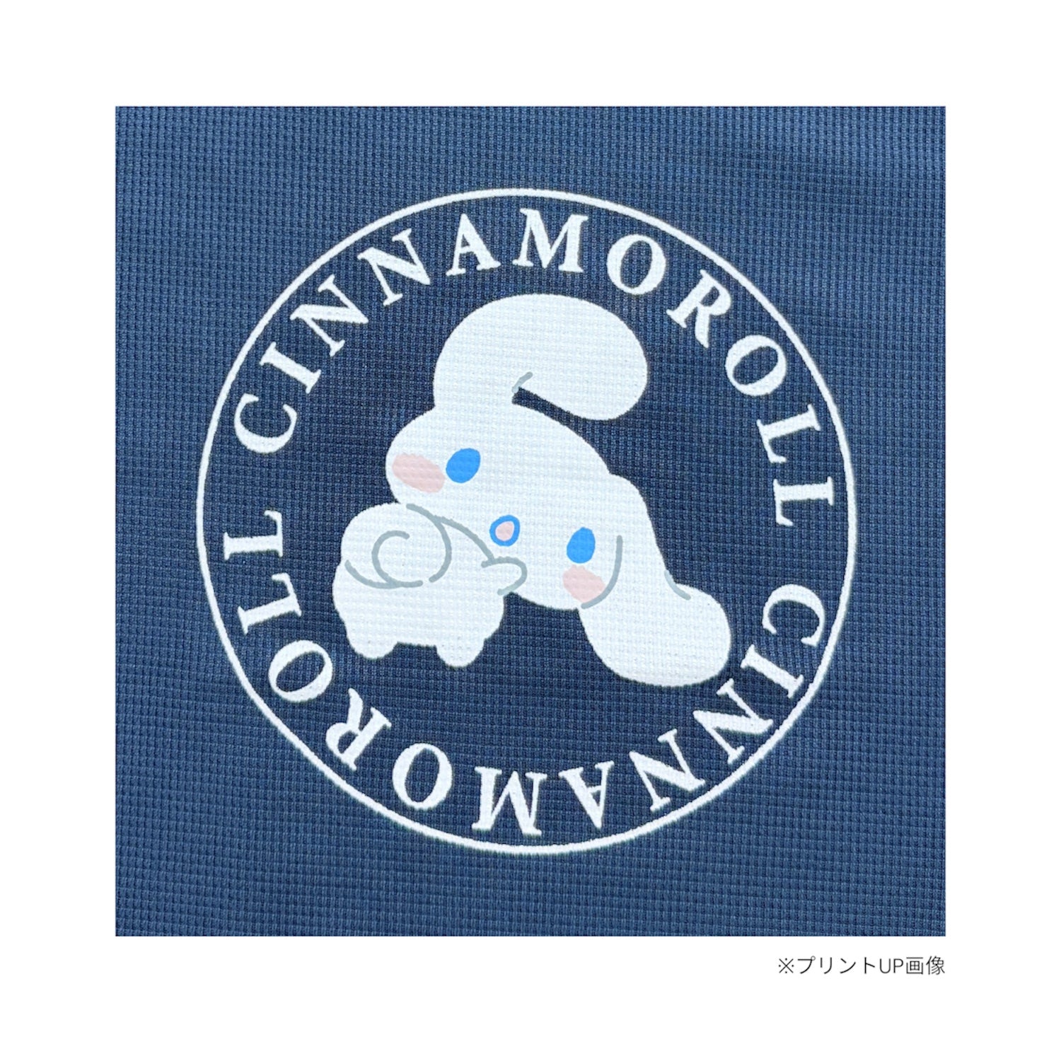 シナモロール プリント ドライワッフル 上下セット 巾着付き 半袖 Tシャツ ハーフパンツ セットアップ  夏 レディース メンズ SANRIO CHARACTERS cr1662-64