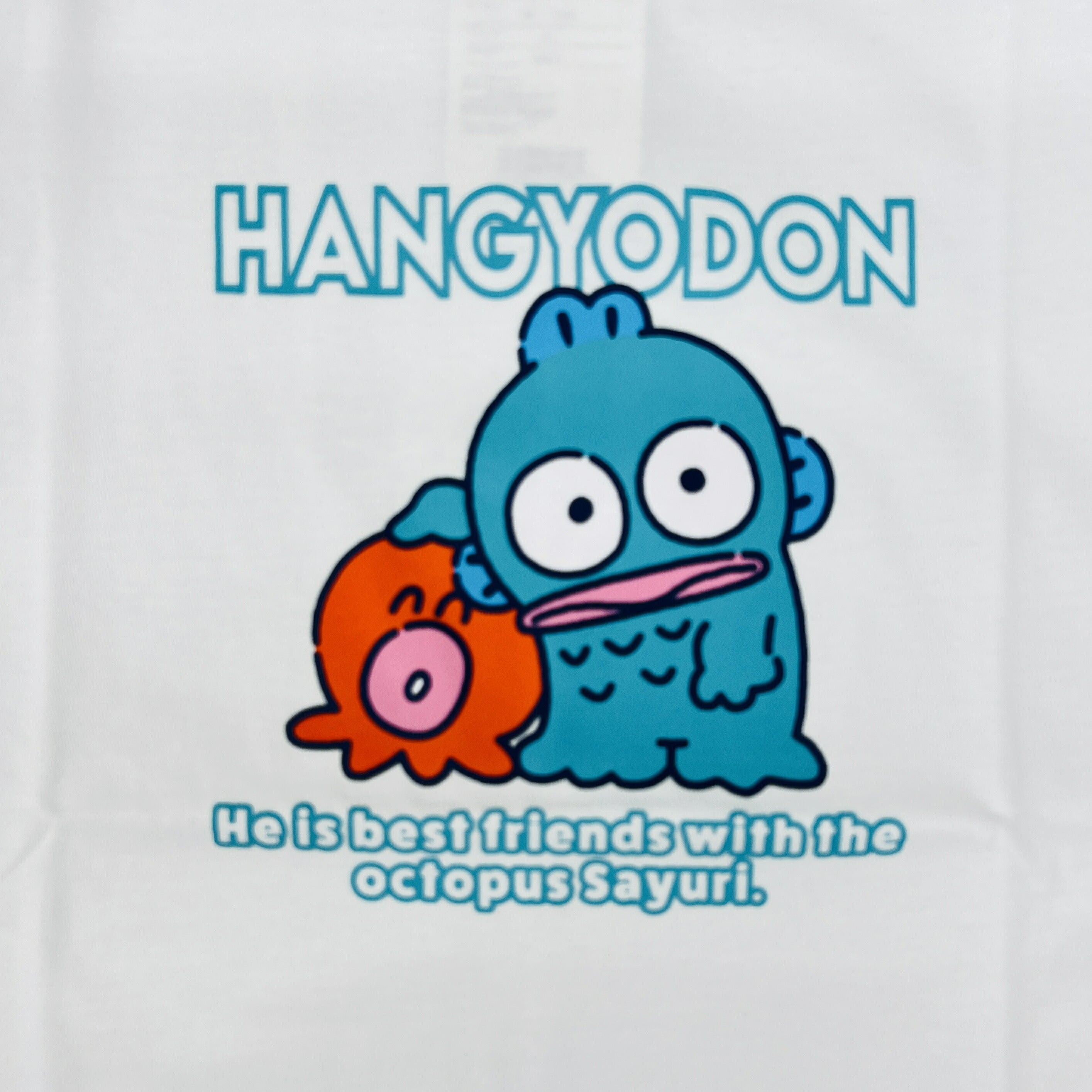 ハンギョドン 半袖 プリント Tシャツ 天竺 レディース メンズ サンリオ キャラクターズ sanrio hangyodon hg1162-47