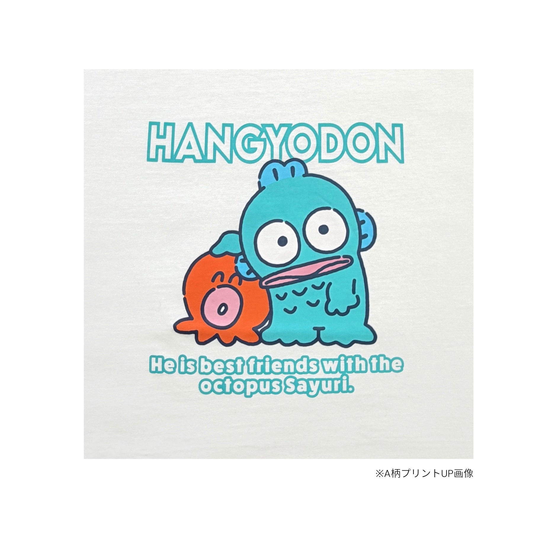 ハンギョドン 半袖 プリント Tシャツ 天竺 レディース メンズ サンリオ キャラクターズ hangyodon hg1162-47