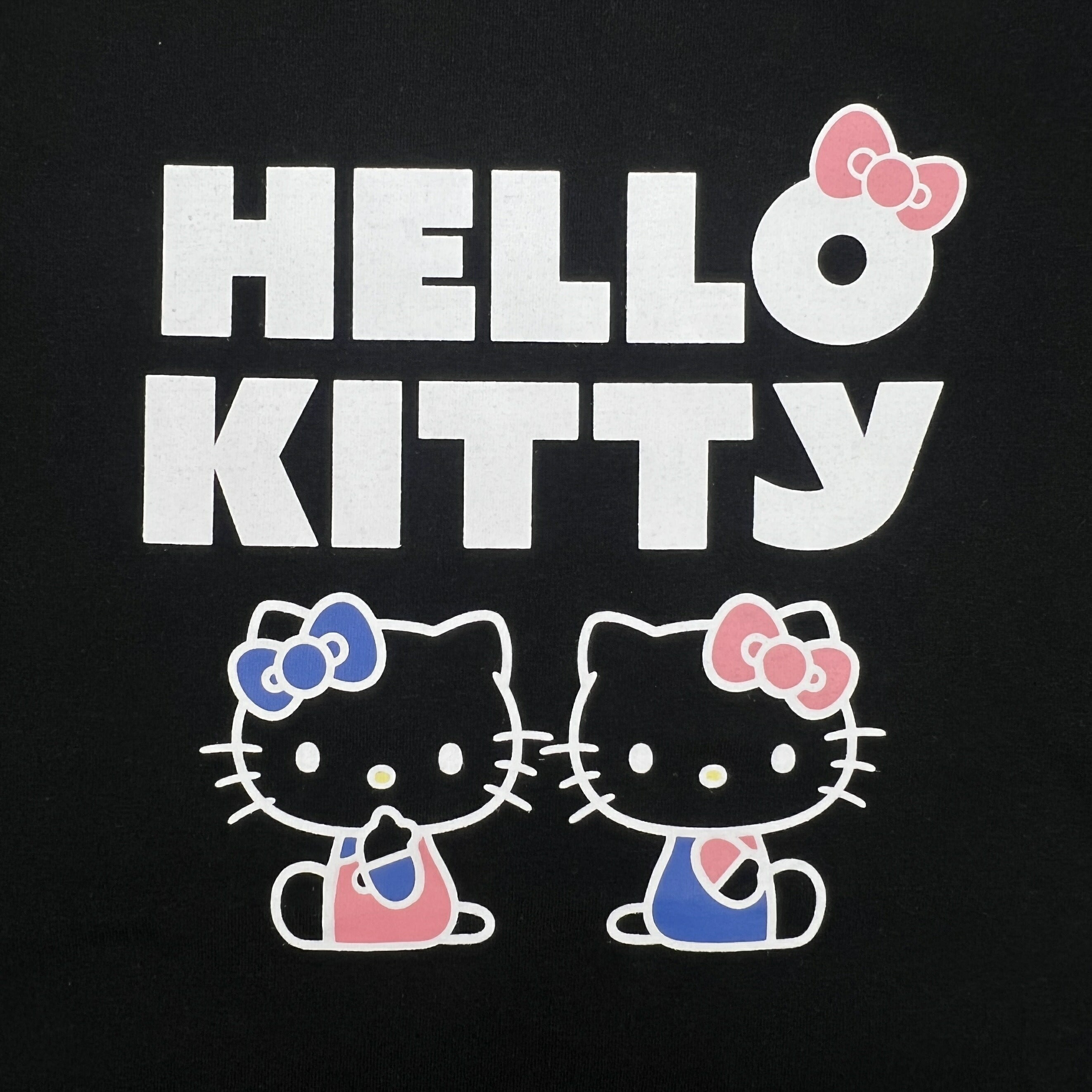 ハローキティ 半袖 Tシャツ 刺繍 ポケット付き プリント 天竺 サンリオ キャラクターズ hellokitty sanrio hk1162-48