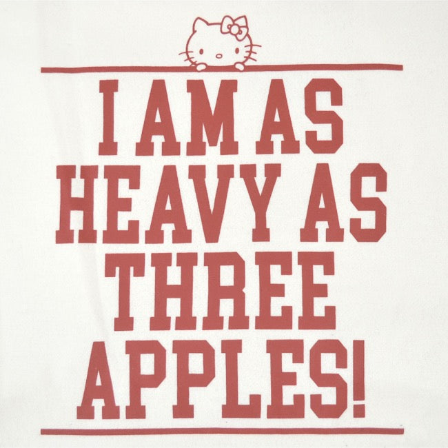 ハローキティ 裏起毛 スウェット トレーナー ビッグ オーバーサイズ サンリオ キャラクターズ プリント メンズ レディース hk1344-153