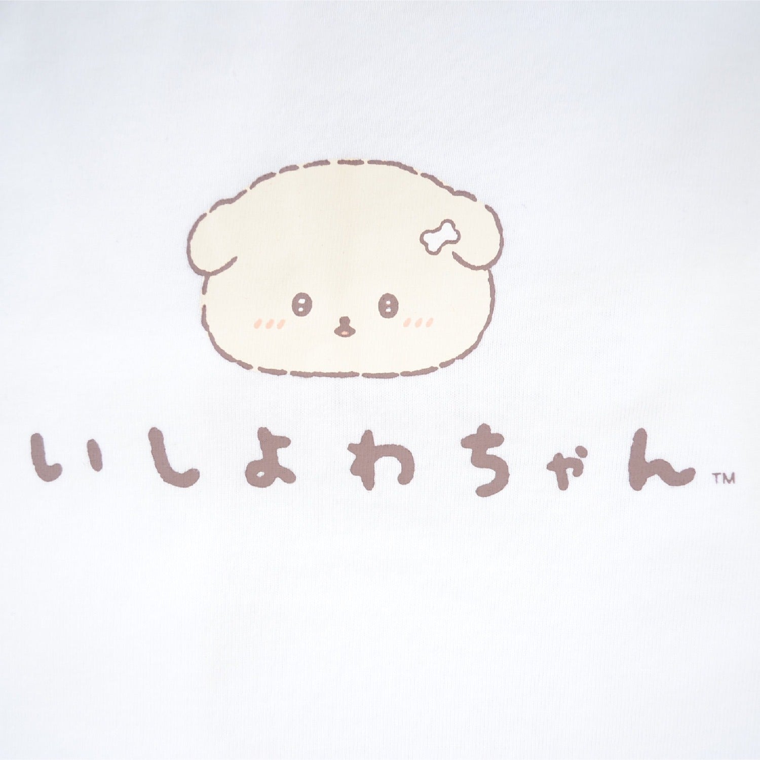 いしよわちゃん 上下セット プリント 半袖 Tシャツ トップス ロングパンツ セットアップ サンエックス San-X ic1652-363