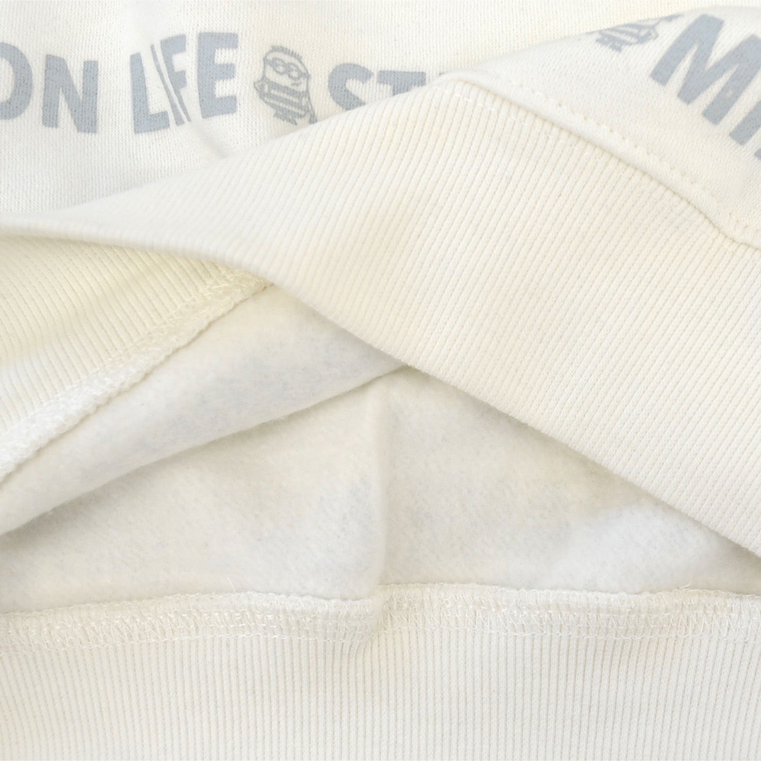 ミニオン ミニオンズ トレーナー 裏起毛 スウェット プリント ms1304-640