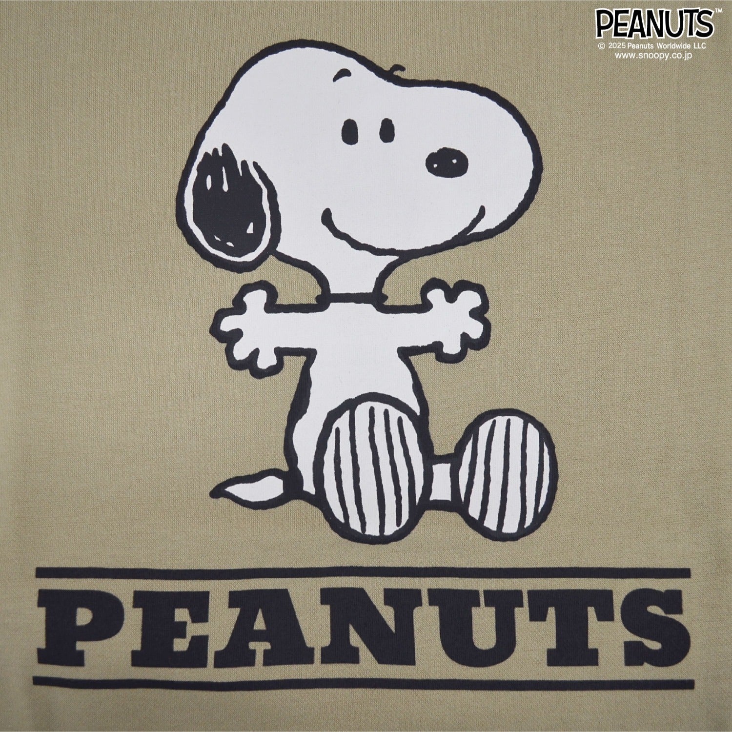 スヌーピー アイス 接触 冷感 半袖 Tシャツ SNOOPY PEANUTS s1152-292sp