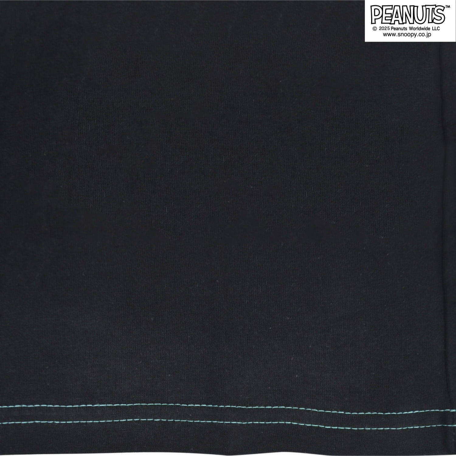 スヌーピー 半袖 Tシャツ プリント ライナス グリーン PEANUTS SNOOPY s1152-375sp