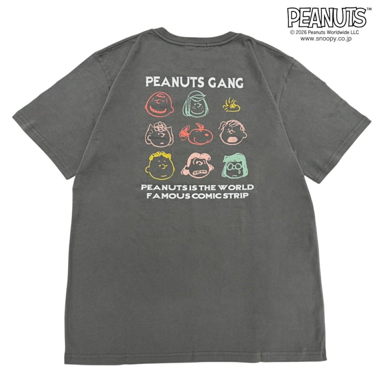 スヌーピー フレンズ 半袖 Tシャツ 刺繍 バックプリント 天竺 メンズ レディース 夏 SNOOPY PEANUTS s1162-101