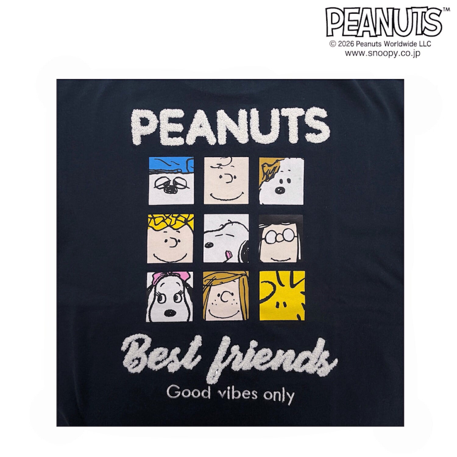 スヌーピー 半袖 Tシャツ フレンズ柄 サガラ刺繍 バックプリント 天竺 ヘビーウェイト ドロップショルダー オーバーサイズ メンズ レディース 夏  SNOOPY PEANUTS s1162-168sp