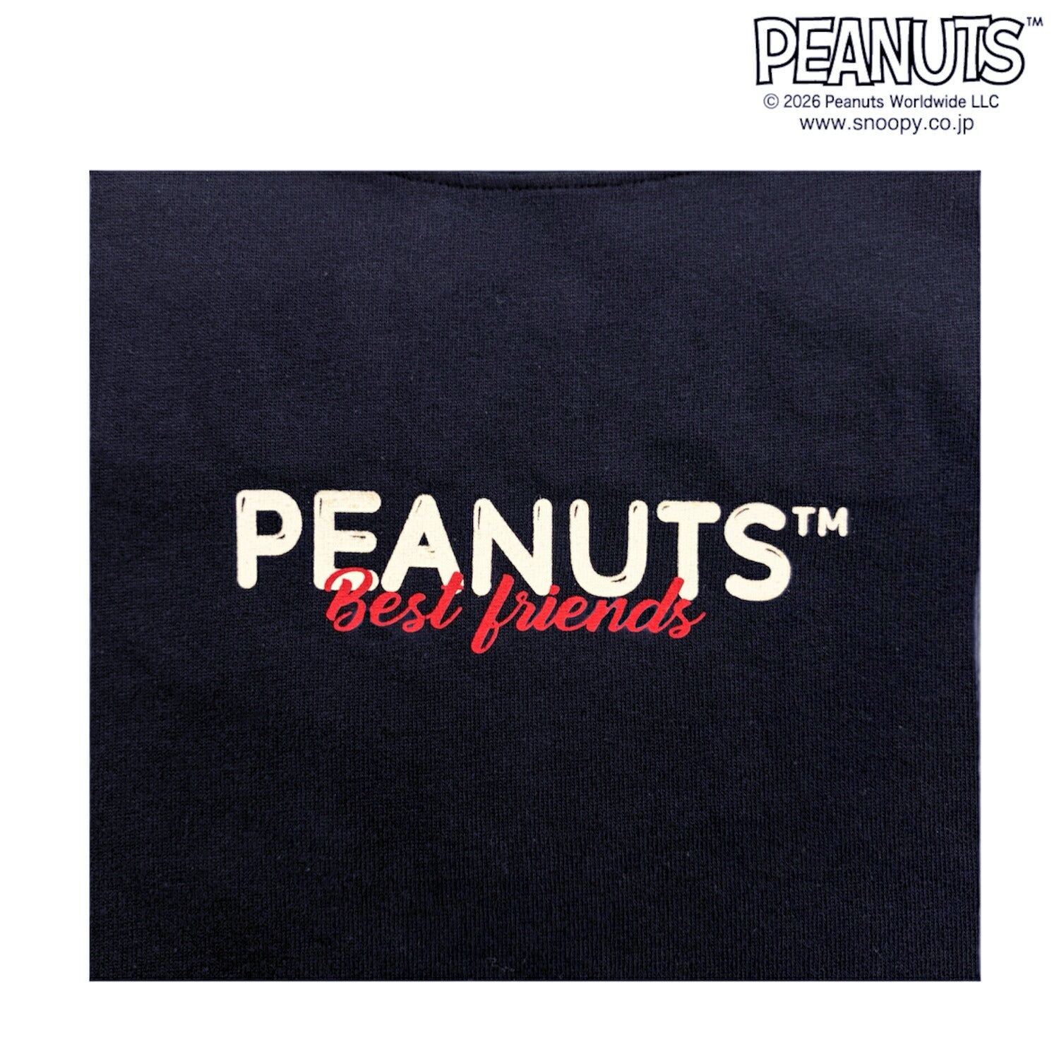 スヌーピー 半袖 Tシャツ フレンズ柄 サガラ刺繍 バックプリント 天竺 ヘビーウェイト ドロップショルダー オーバーサイズ メンズ レディース 夏  SNOOPY PEANUTS s1162-168sp