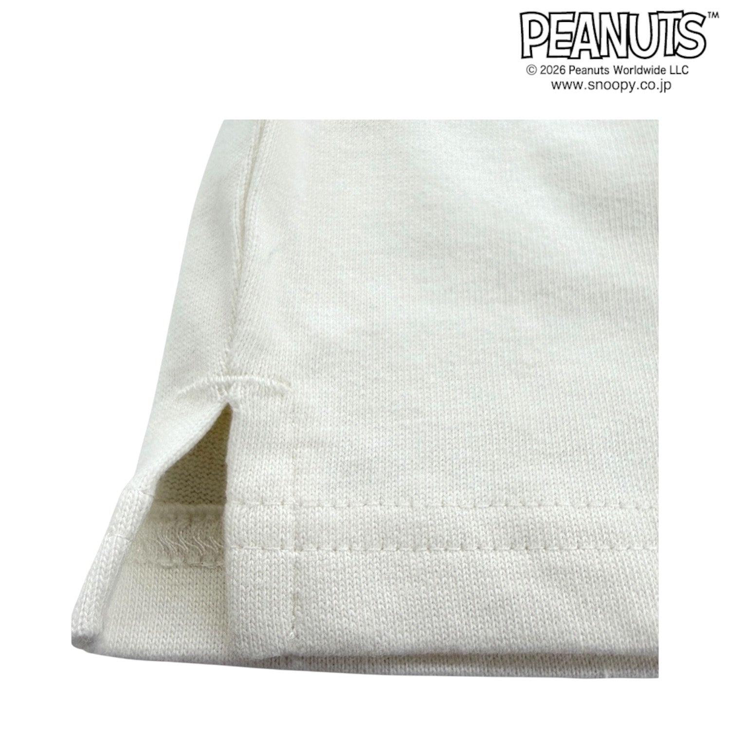 スヌーピー 半袖 Tシャツ フレンズ柄 サガラ刺繍 バックプリント 天竺 ヘビーウェイト ドロップショルダー オーバーサイズ メンズ レディース 夏  SNOOPY PEANUTS s1162-168sp