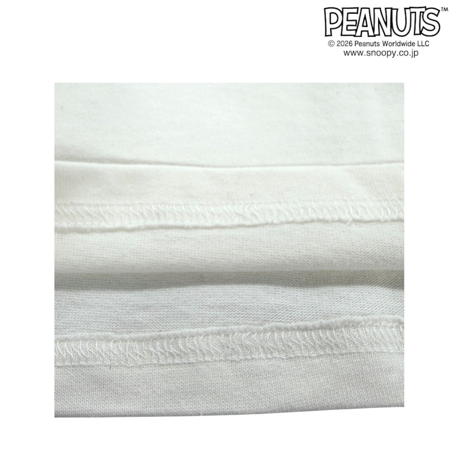 スヌーピー 半袖 Tシャツ フレンズ柄 サガラ刺繍 バックプリント 天竺 ヘビーウェイト ドロップショルダー オーバーサイズ メンズ レディース 夏  SNOOPY PEANUTS s1162-168sp
