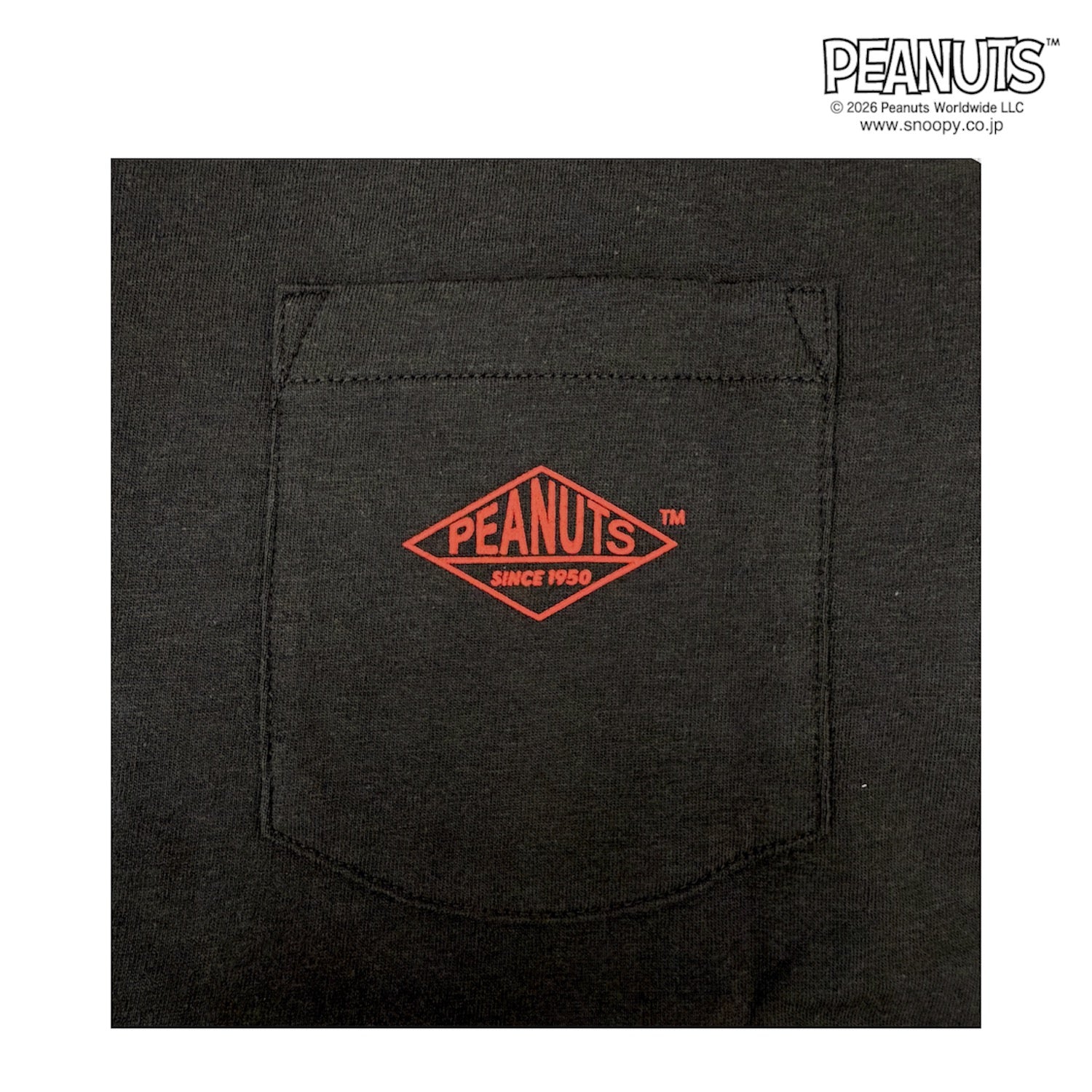 スヌーピー フライング・エース柄 半袖 Tシャツ バックプリント 天竺 メンズ レディース 春 夏 SNOOPY PEANUTS s1162-241sp